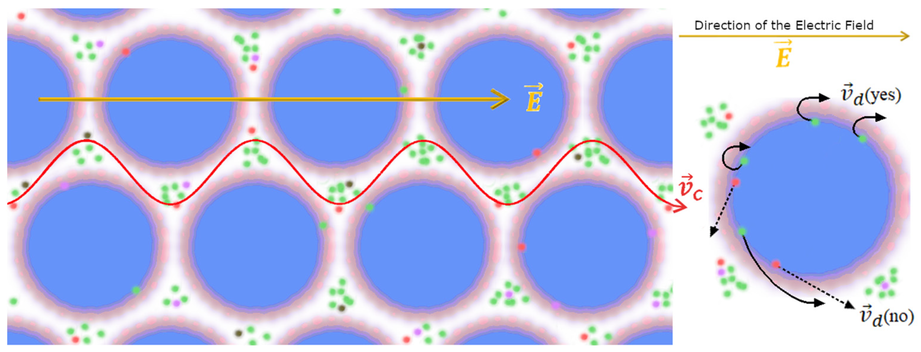 Ijms 24 14003 g008 Ijms 24 14003 g008