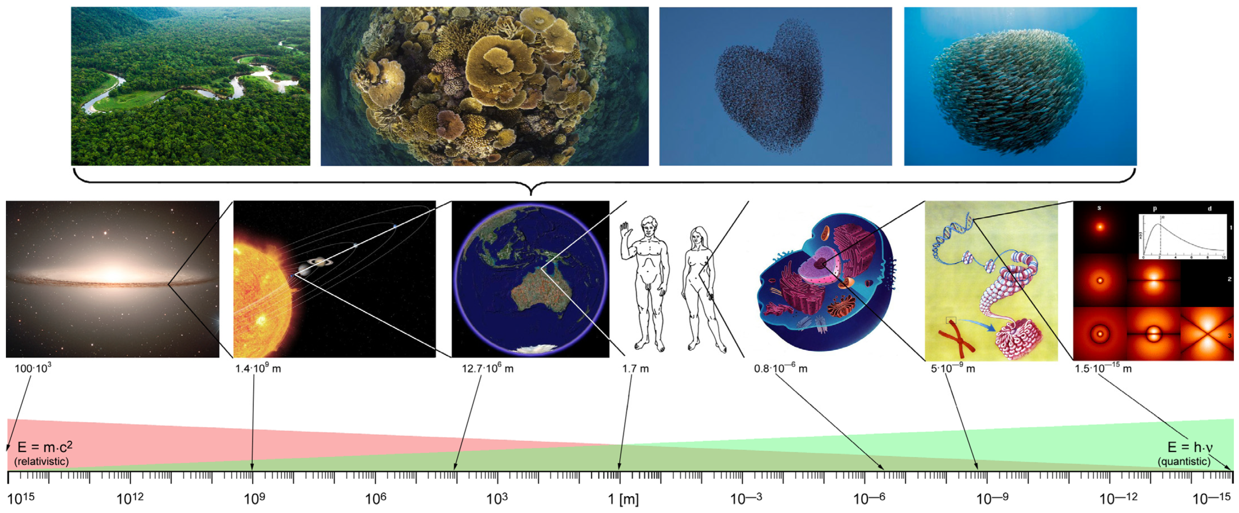 Ijms 24 14003 g009 Ijms 24 14003 g009