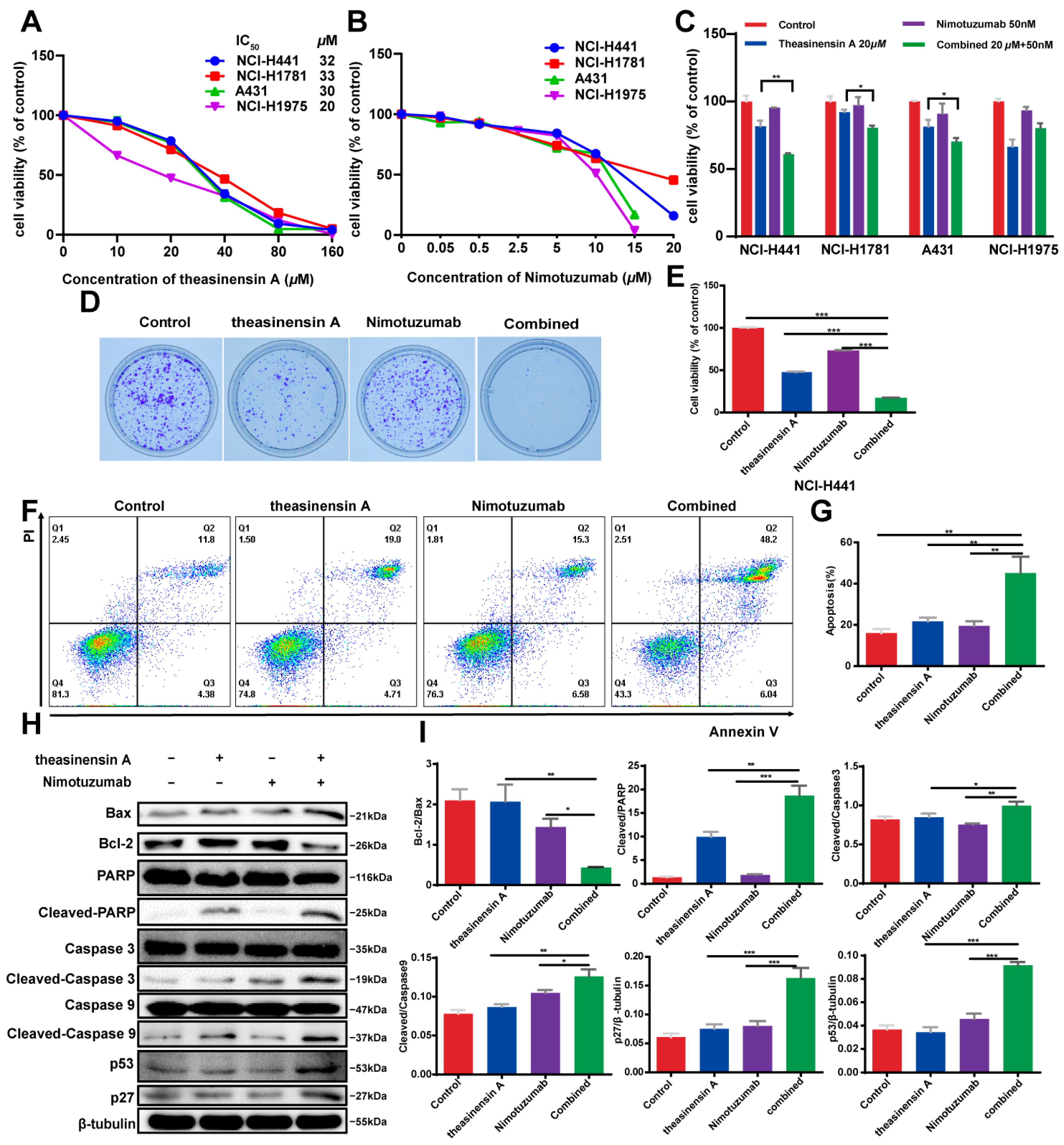 Ijms 24 14012 g002 Ijms 24 14012 g002
