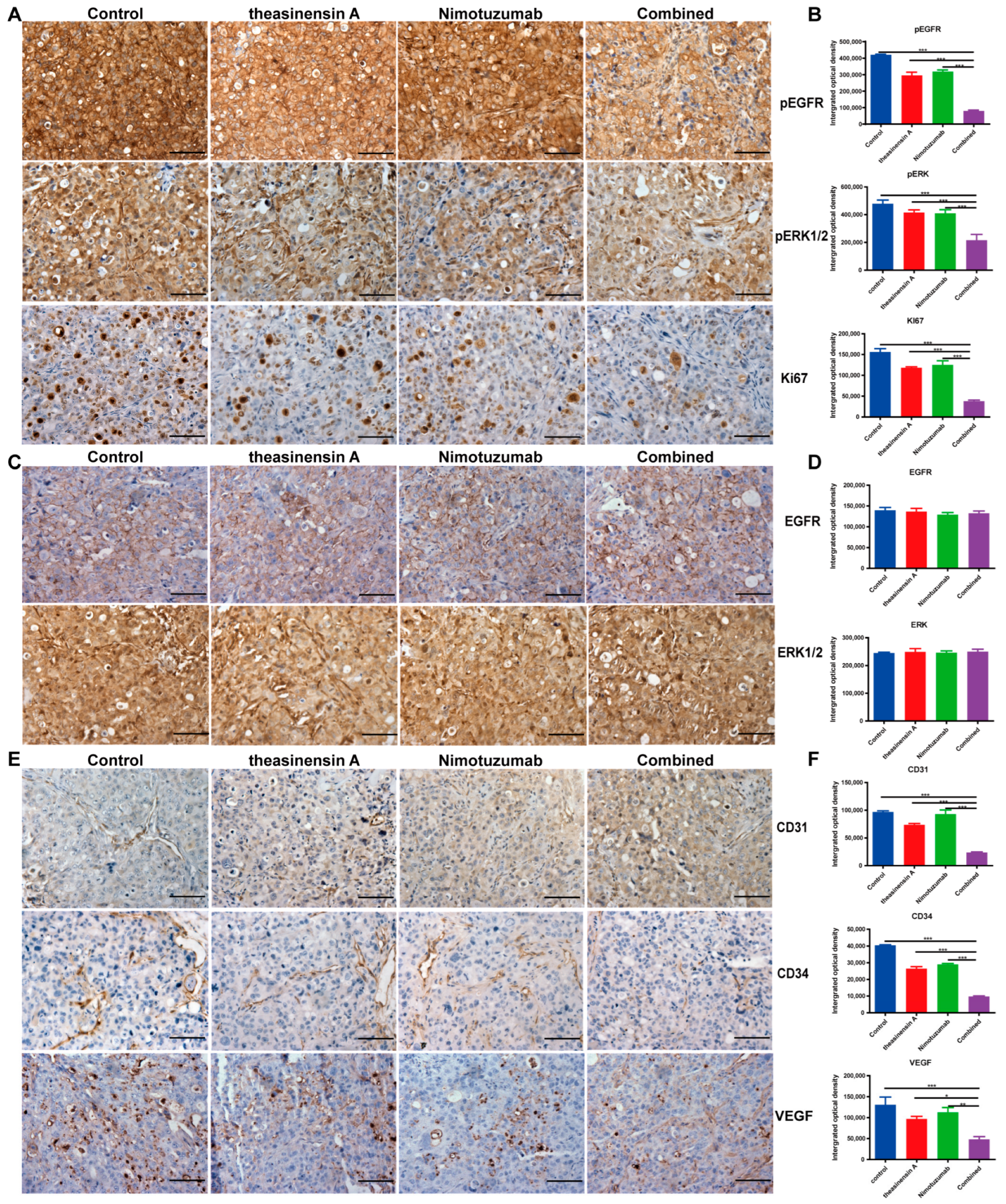 Ijms 24 14012 g005 Ijms 24 14012 g005