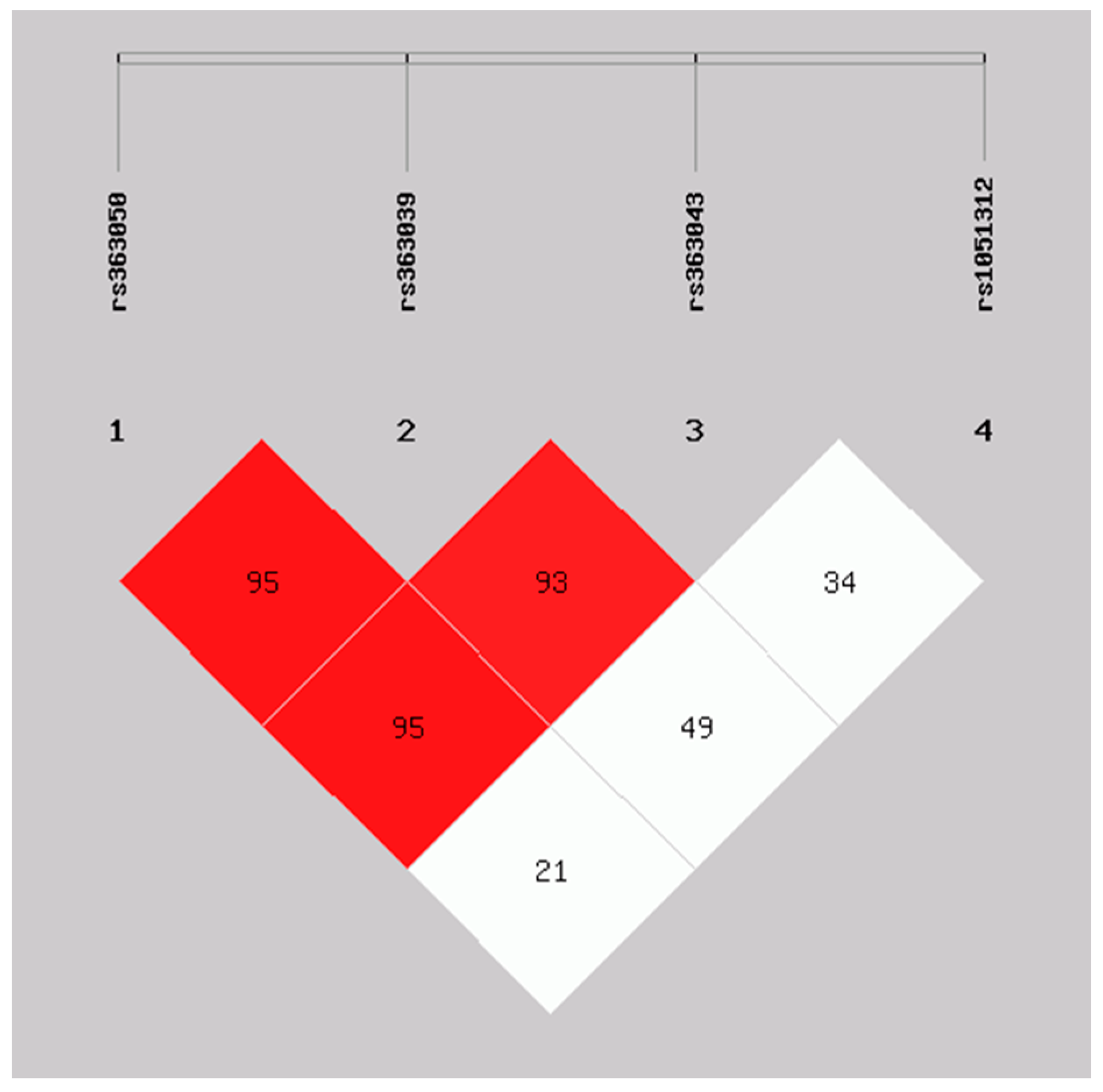 Ijms 24 14042 g001 Ijms 24 14042 g001