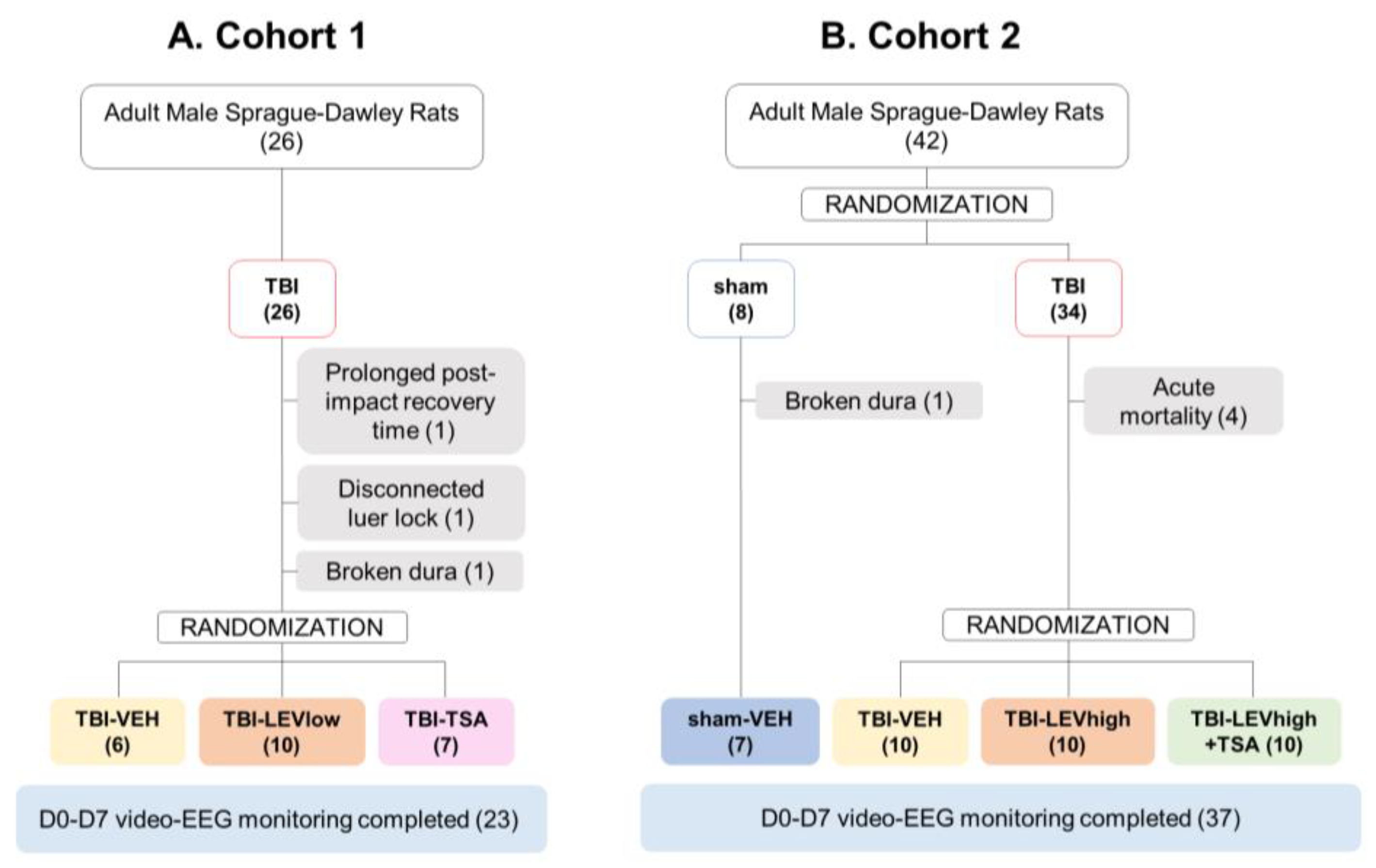 Ijms 24 14049 g001 Ijms 24 14049 g001