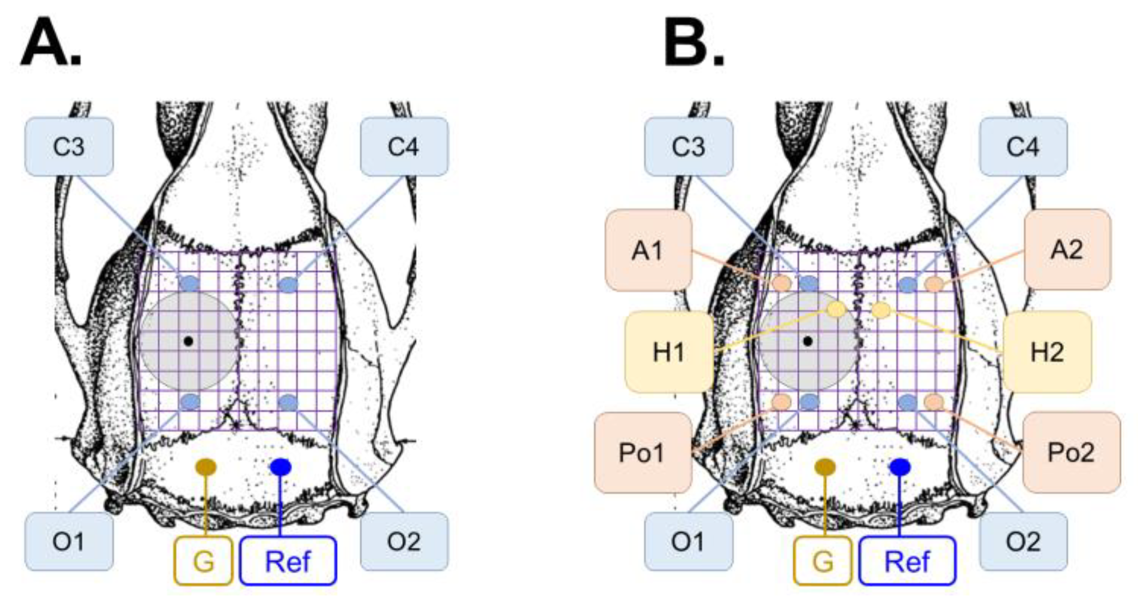 Ijms 24 14049 g009 Ijms 24 14049 g009