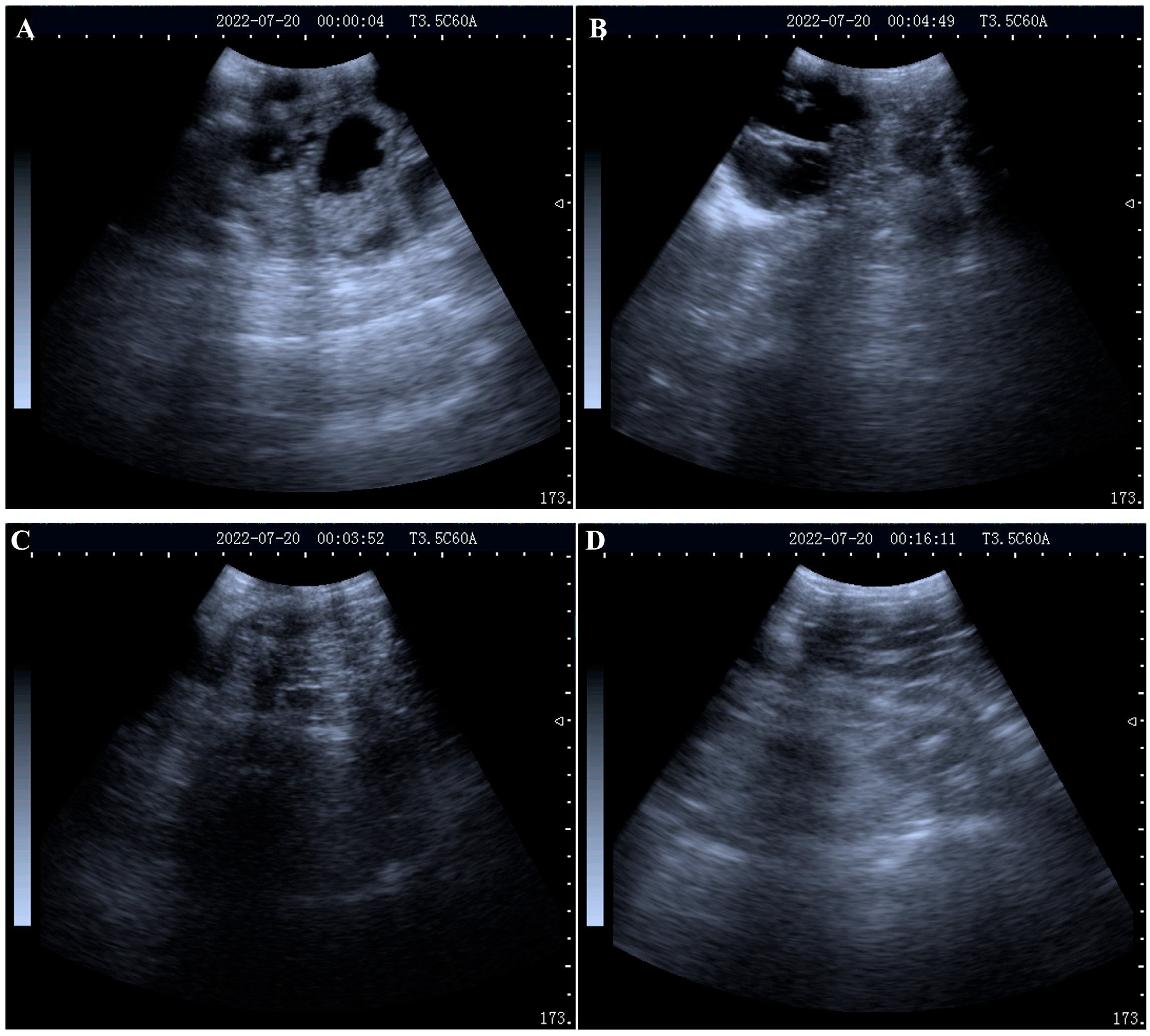 Ijms 24 14054 g001 Ijms 24 14054 g001