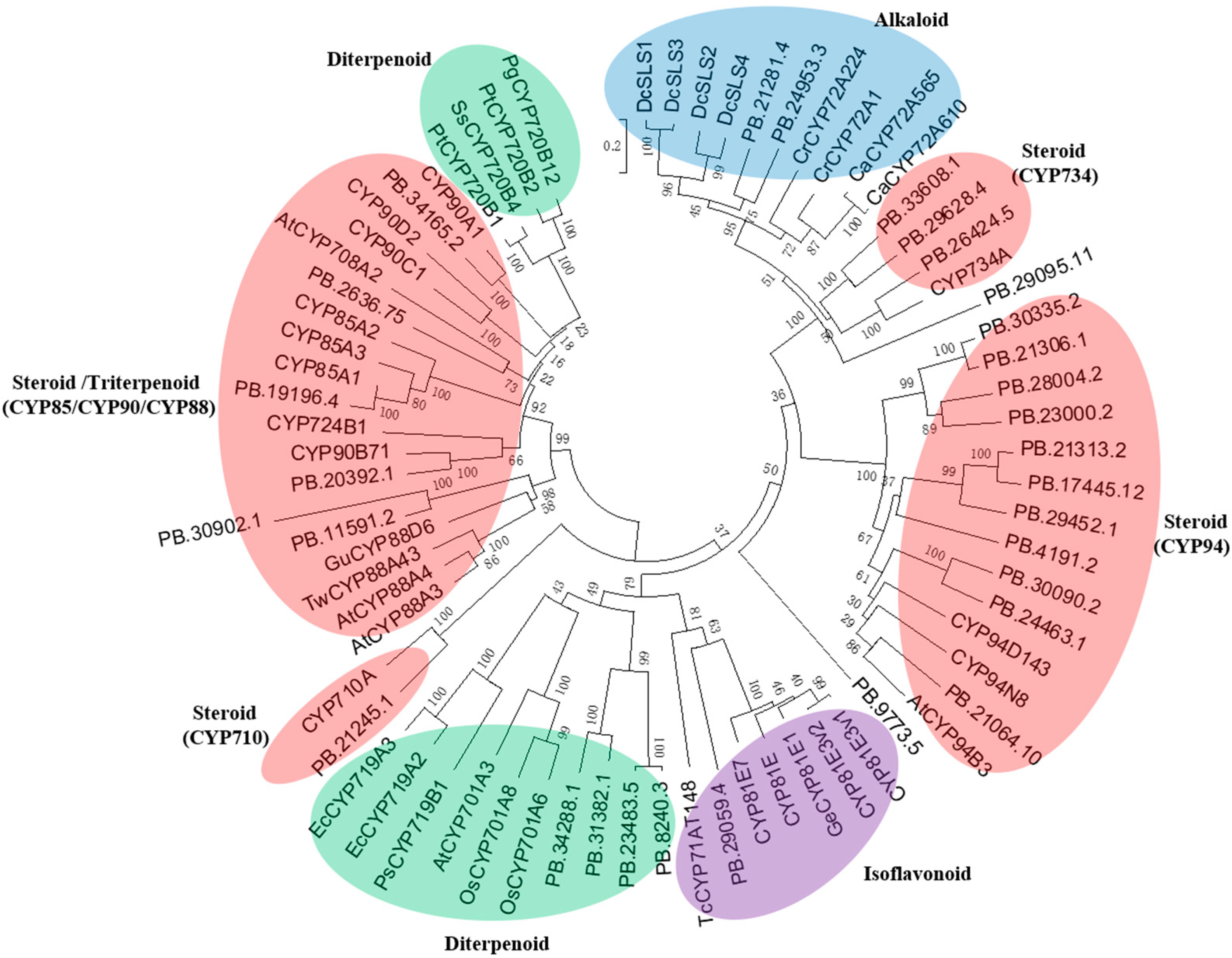 Identification of P450 Candidates Associated with the