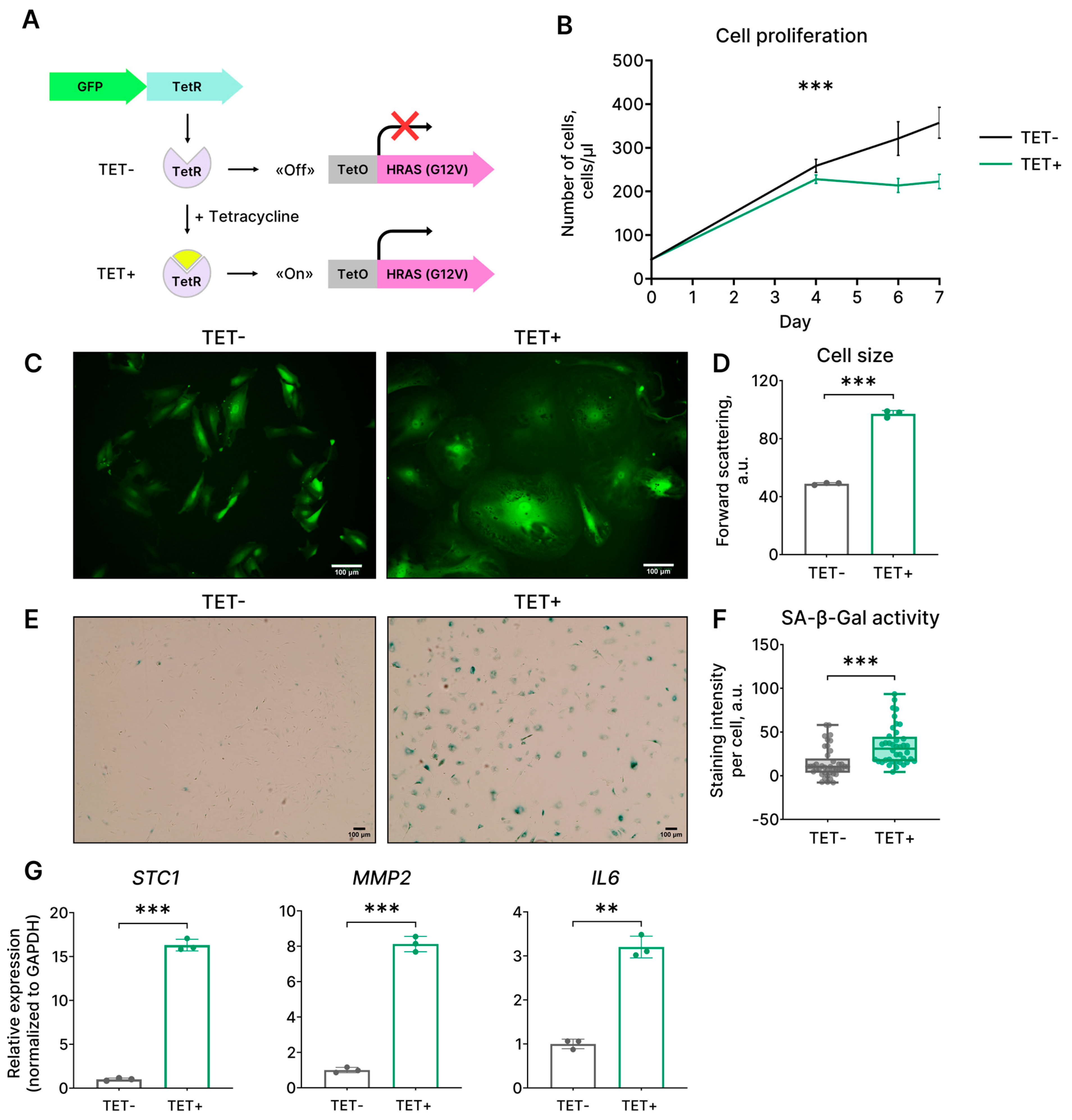 Ijms 24 14089 g001 Ijms 24 14089 g001
