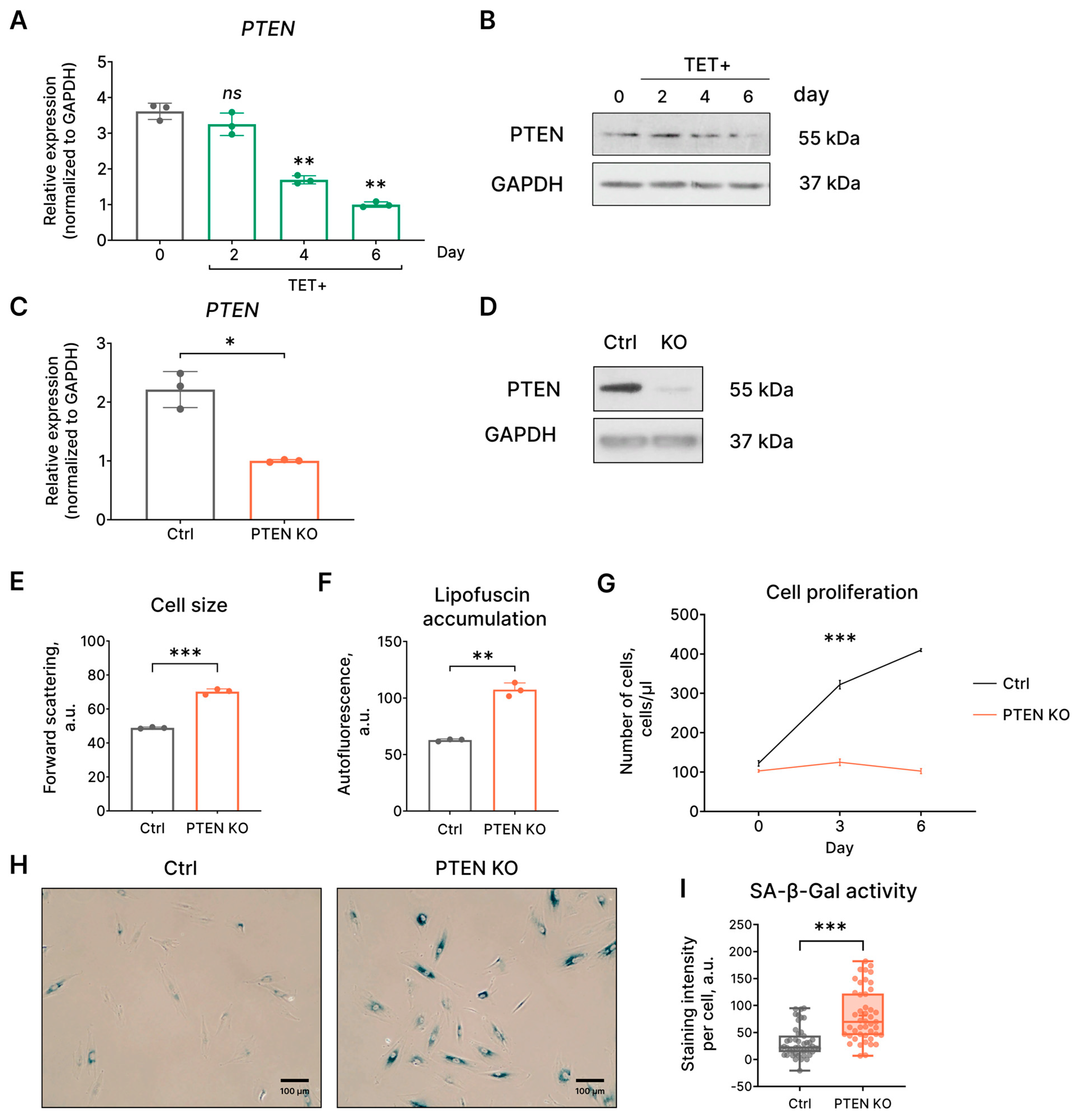 Ijms 24 14089 g006 Ijms 24 14089 g006