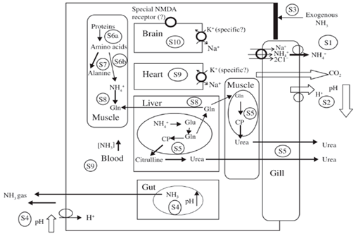 Ijms 24 14093 i002 Ijms 24 14093 i002