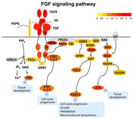 Ijms 24 14093 i006 Ijms 24 14093 i006