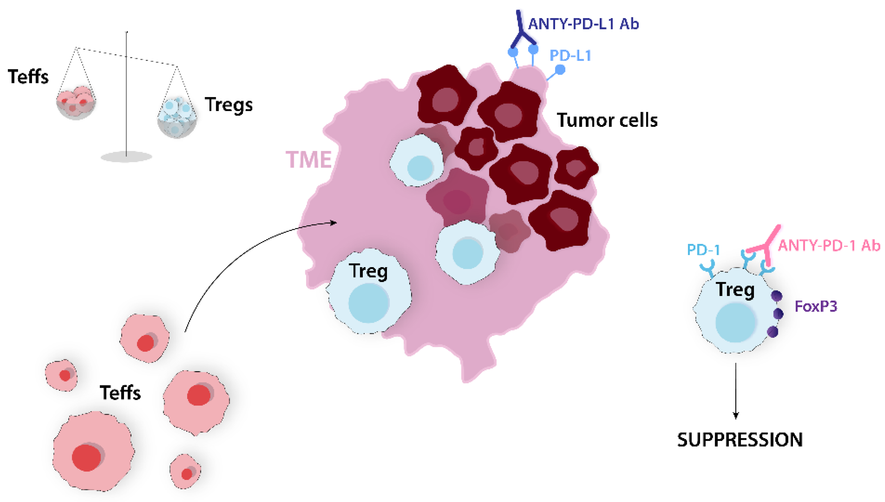 Ijms 24 14114 g004 Ijms 24 14114 g004