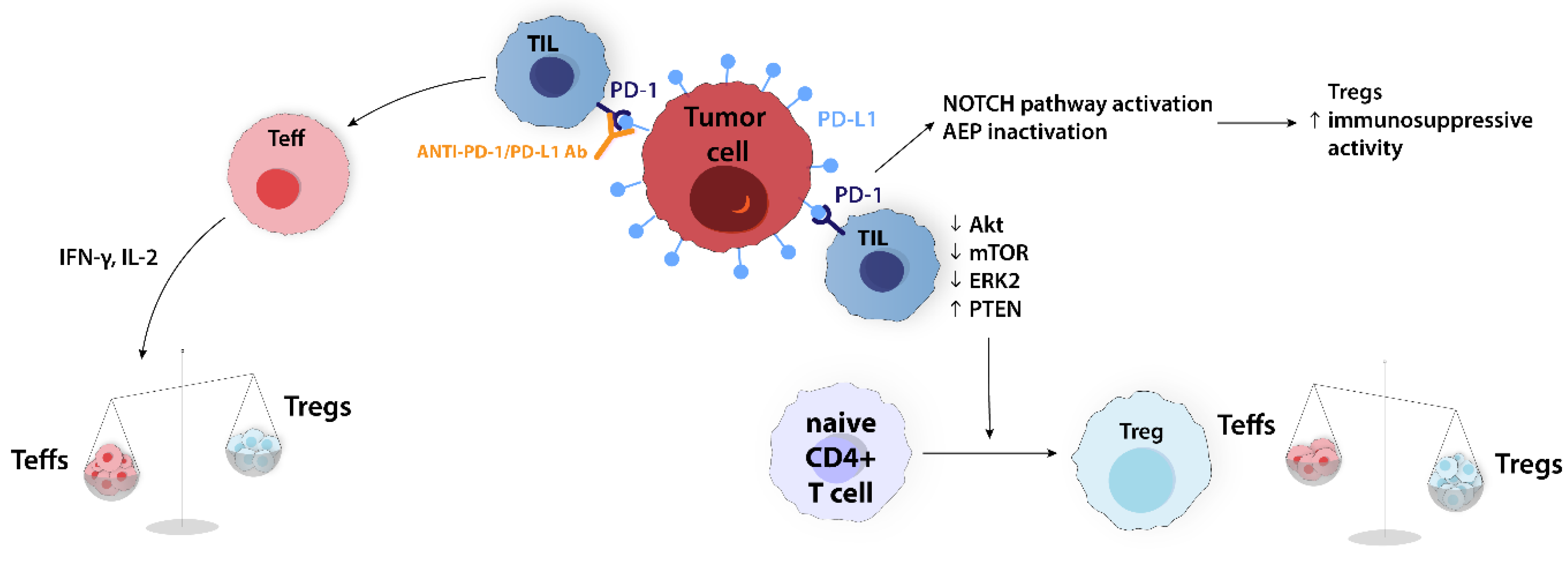 Ijms 24 14114 g006 Ijms 24 14114 g006