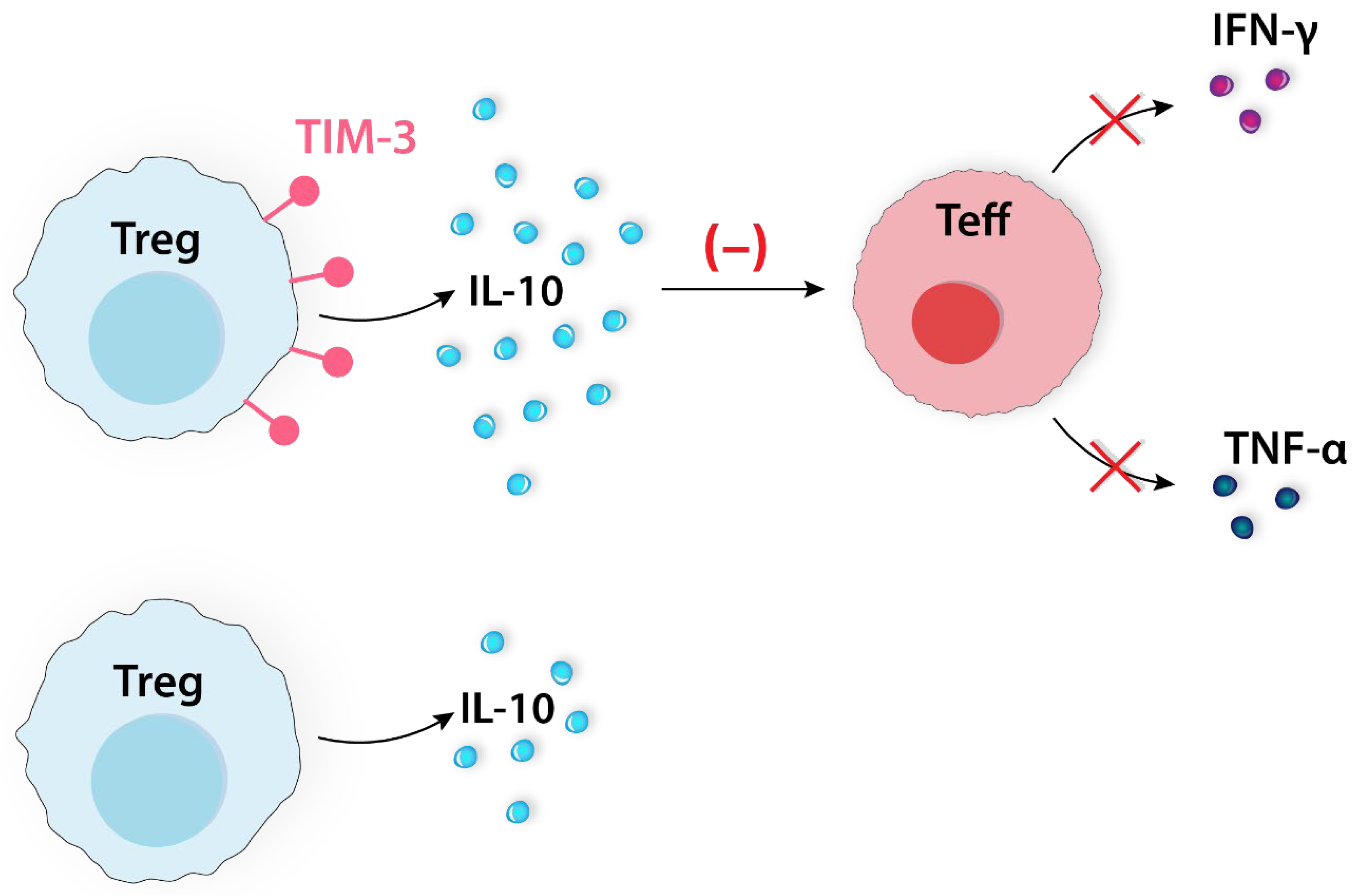 Ijms 24 14114 g008 Ijms 24 14114 g008