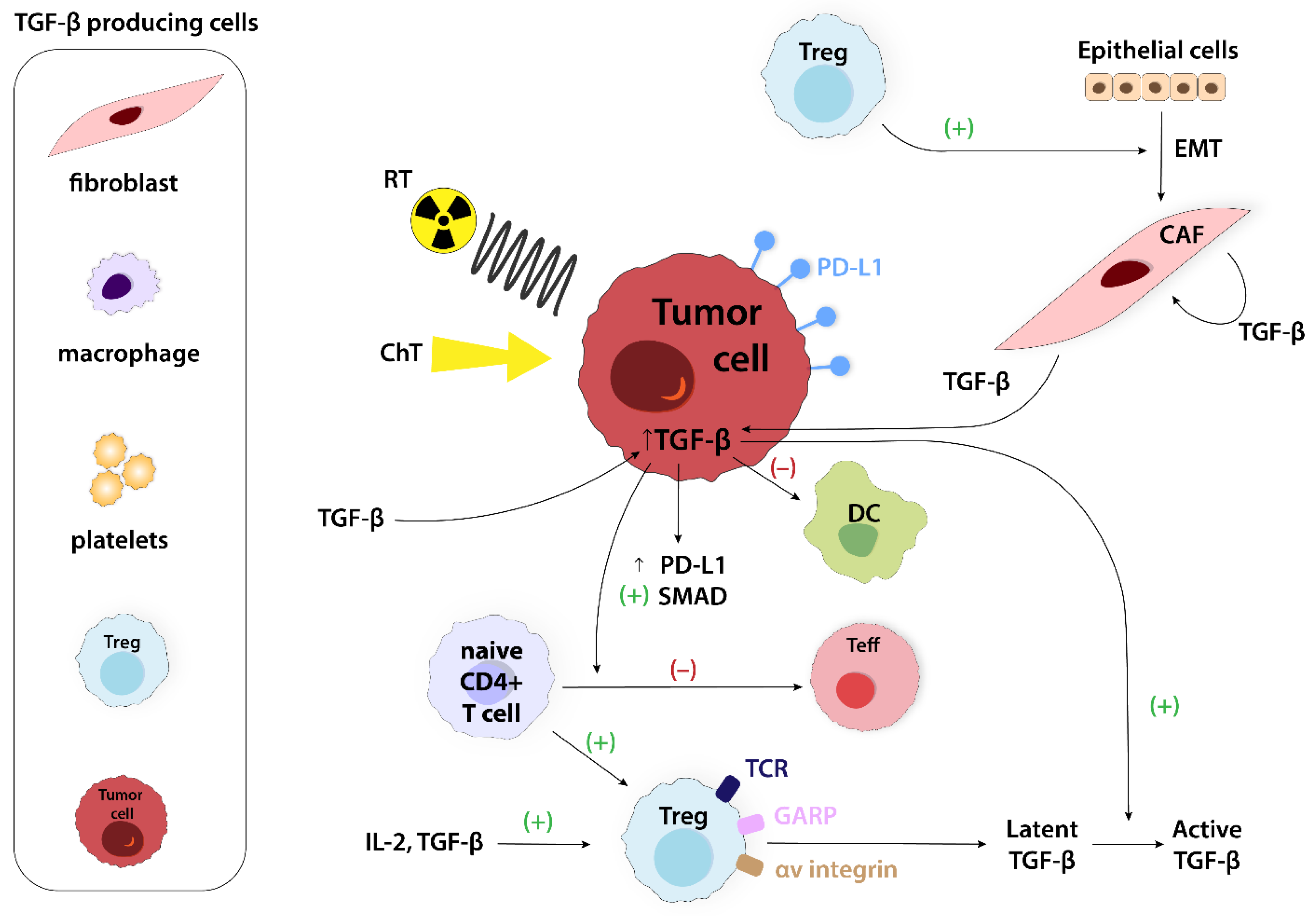 Ijms 24 14114 g011 Ijms 24 14114 g011