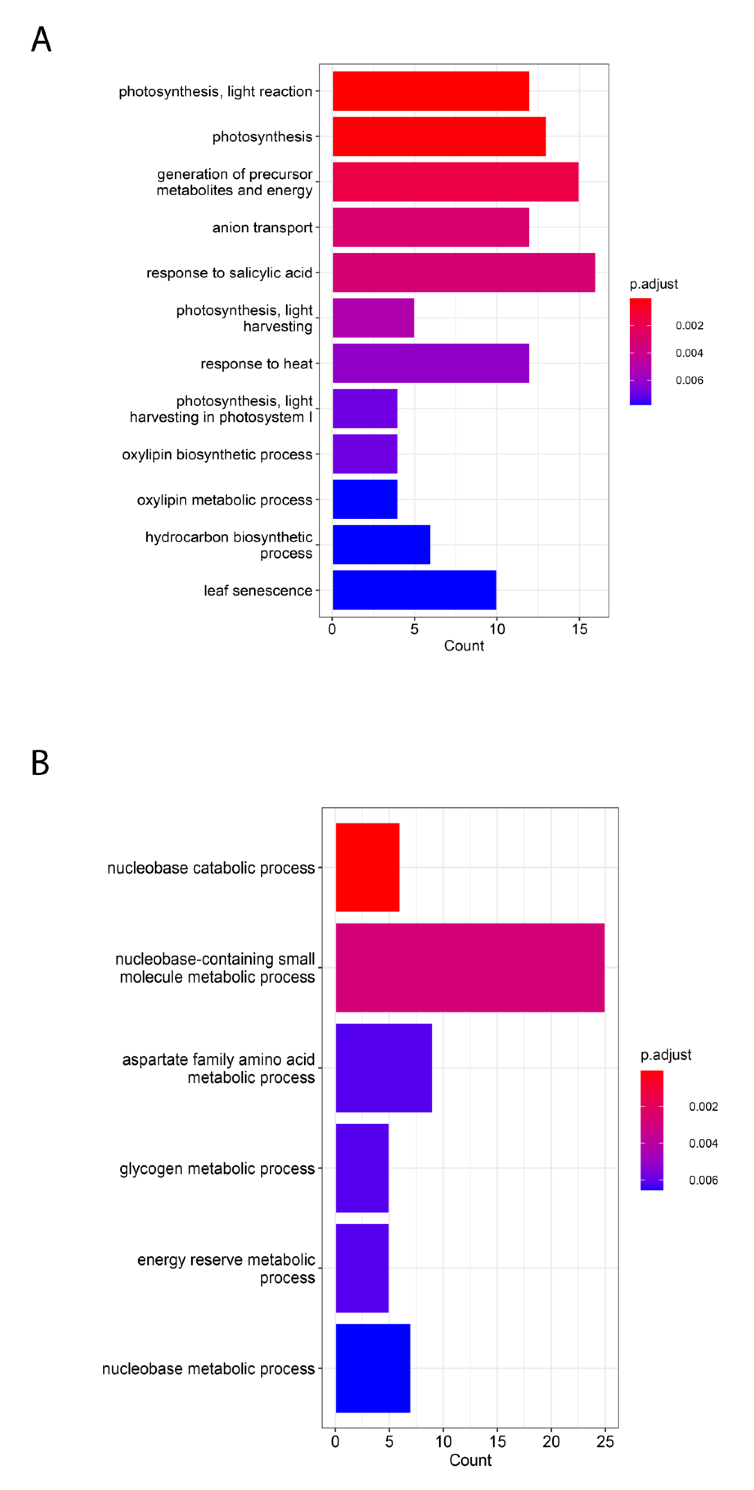 Ijms 24 14165 g004 Ijms 24 14165 g004