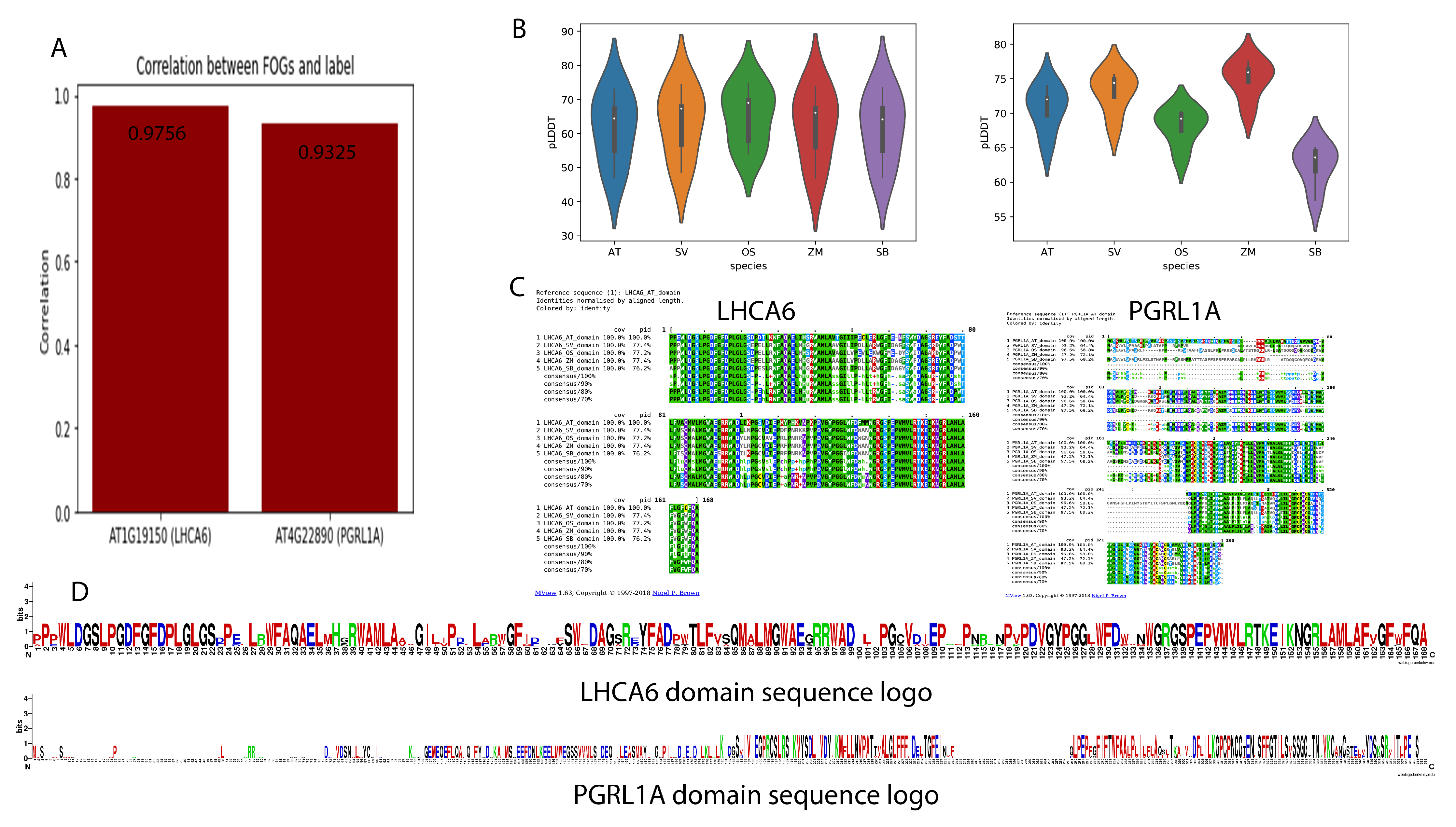 Ijms 24 14165 g006 Ijms 24 14165 g006