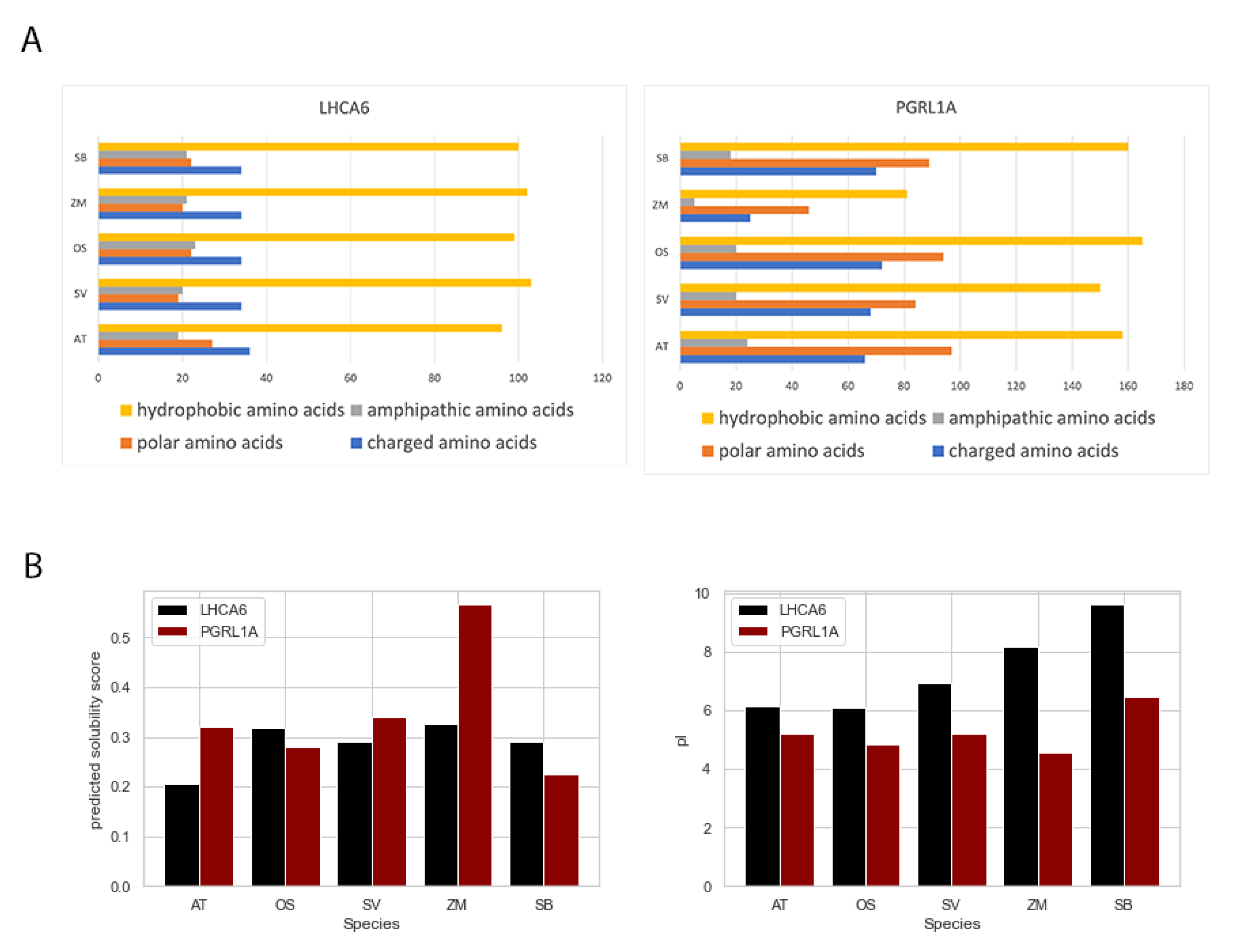 Ijms 24 14165 g007 Ijms 24 14165 g007
