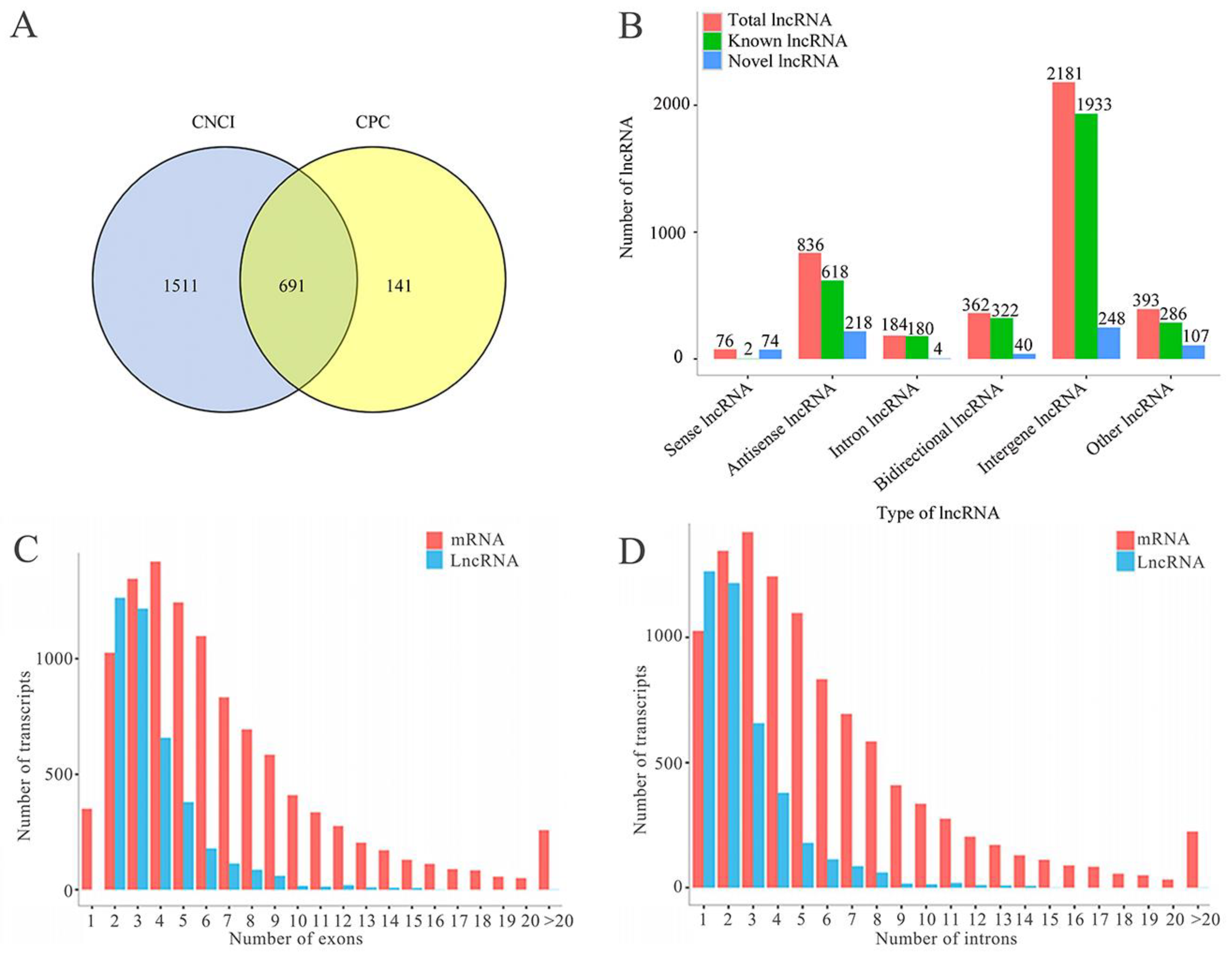 Ijms 24 14175 g001a Ijms 24 14175 g001a