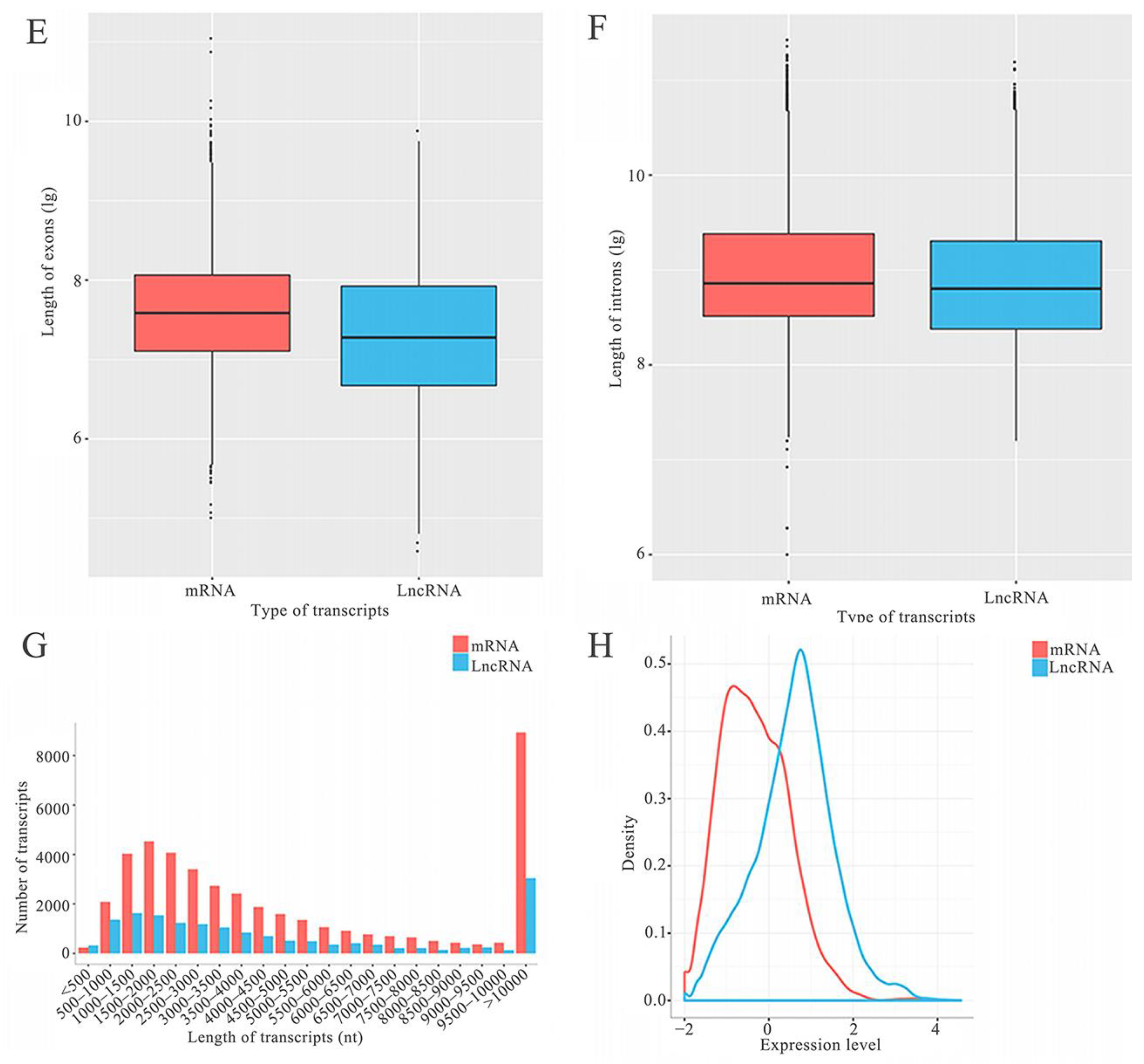 Ijms 24 14175 g001b Ijms 24 14175 g001b