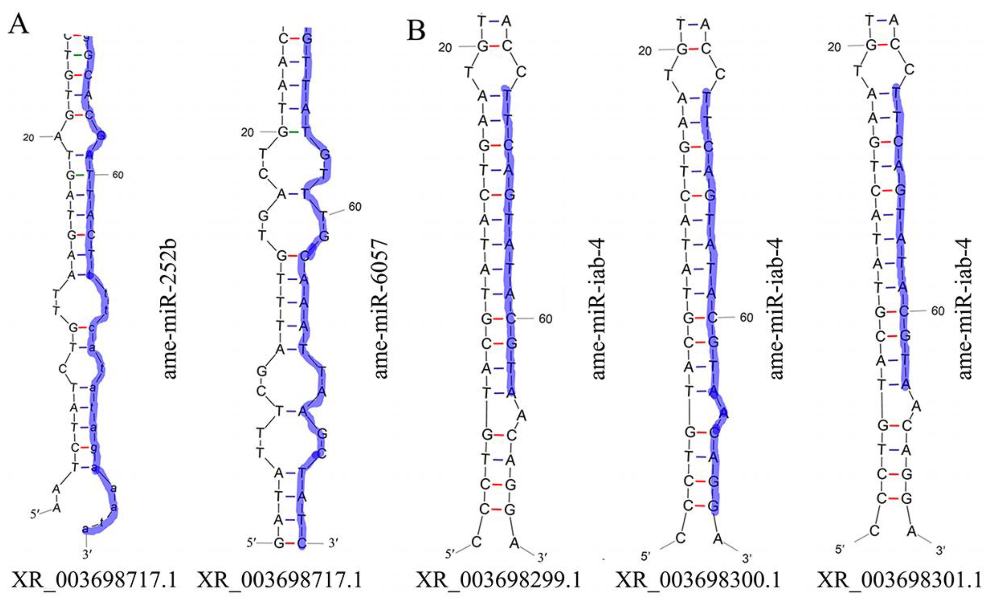 Ijms 24 14175 g002 Ijms 24 14175 g002