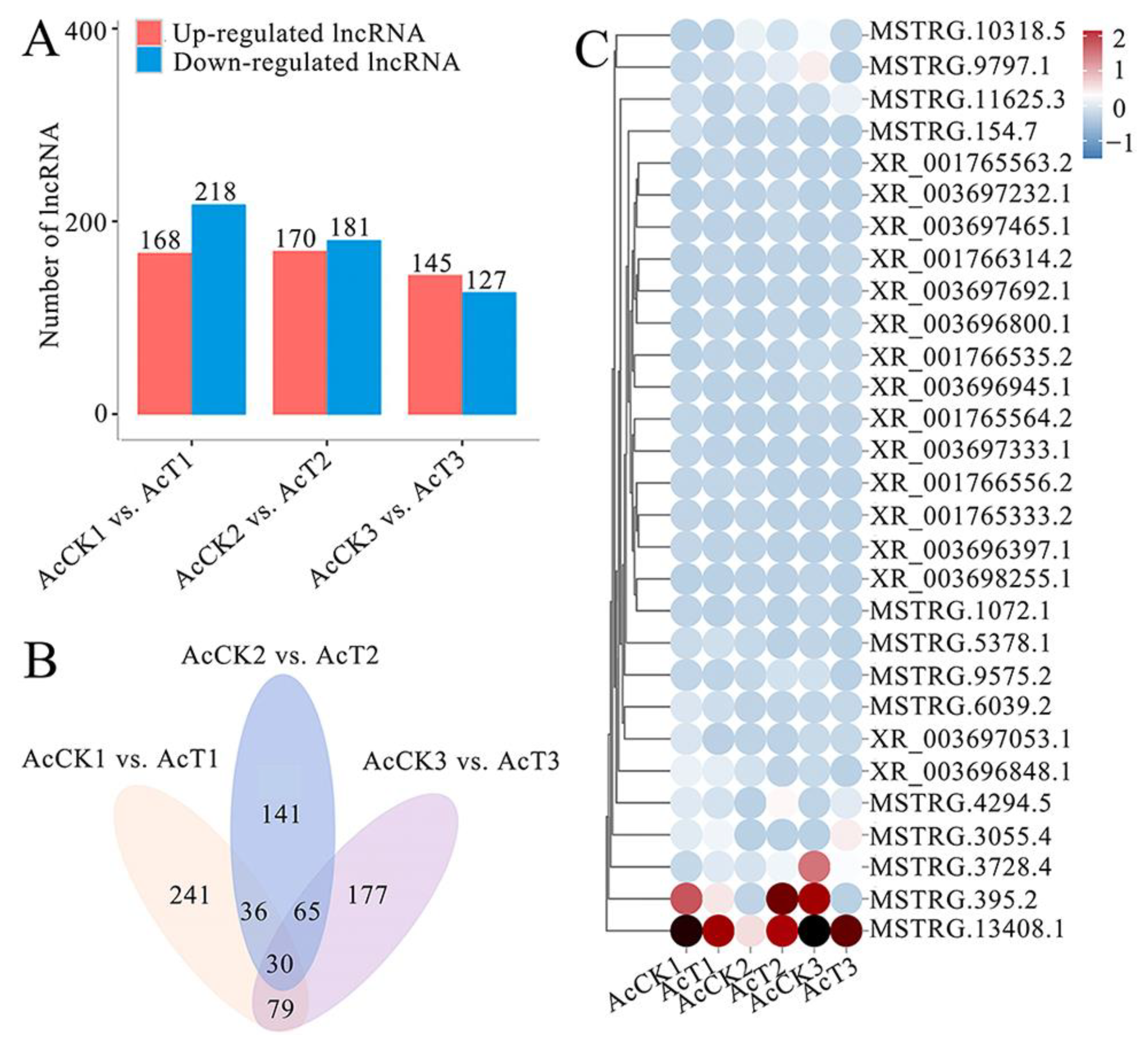Ijms 24 14175 g003 Ijms 24 14175 g003