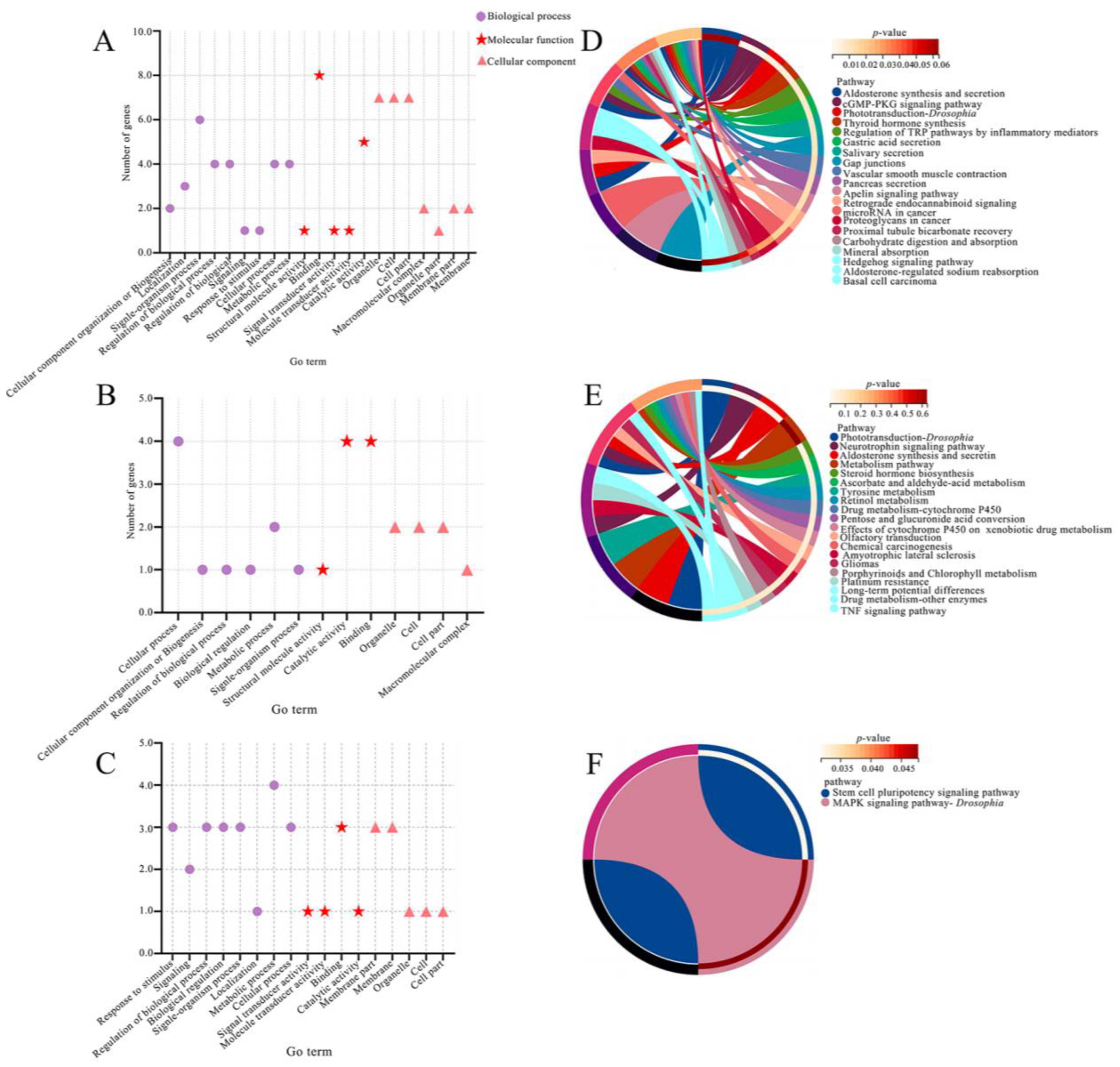 Ijms 24 14175 g004 Ijms 24 14175 g004