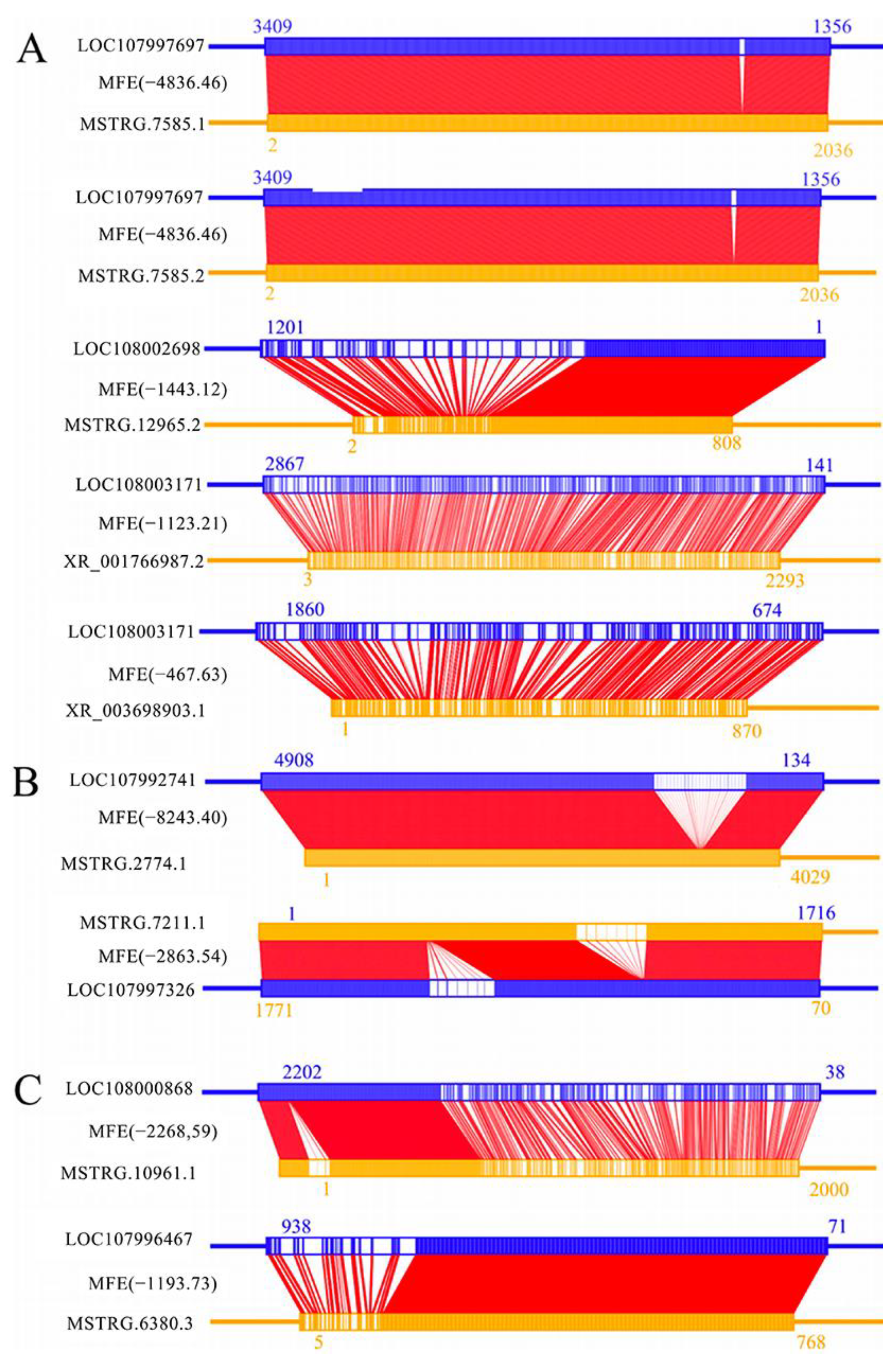 Ijms 24 14175 g005 Ijms 24 14175 g005