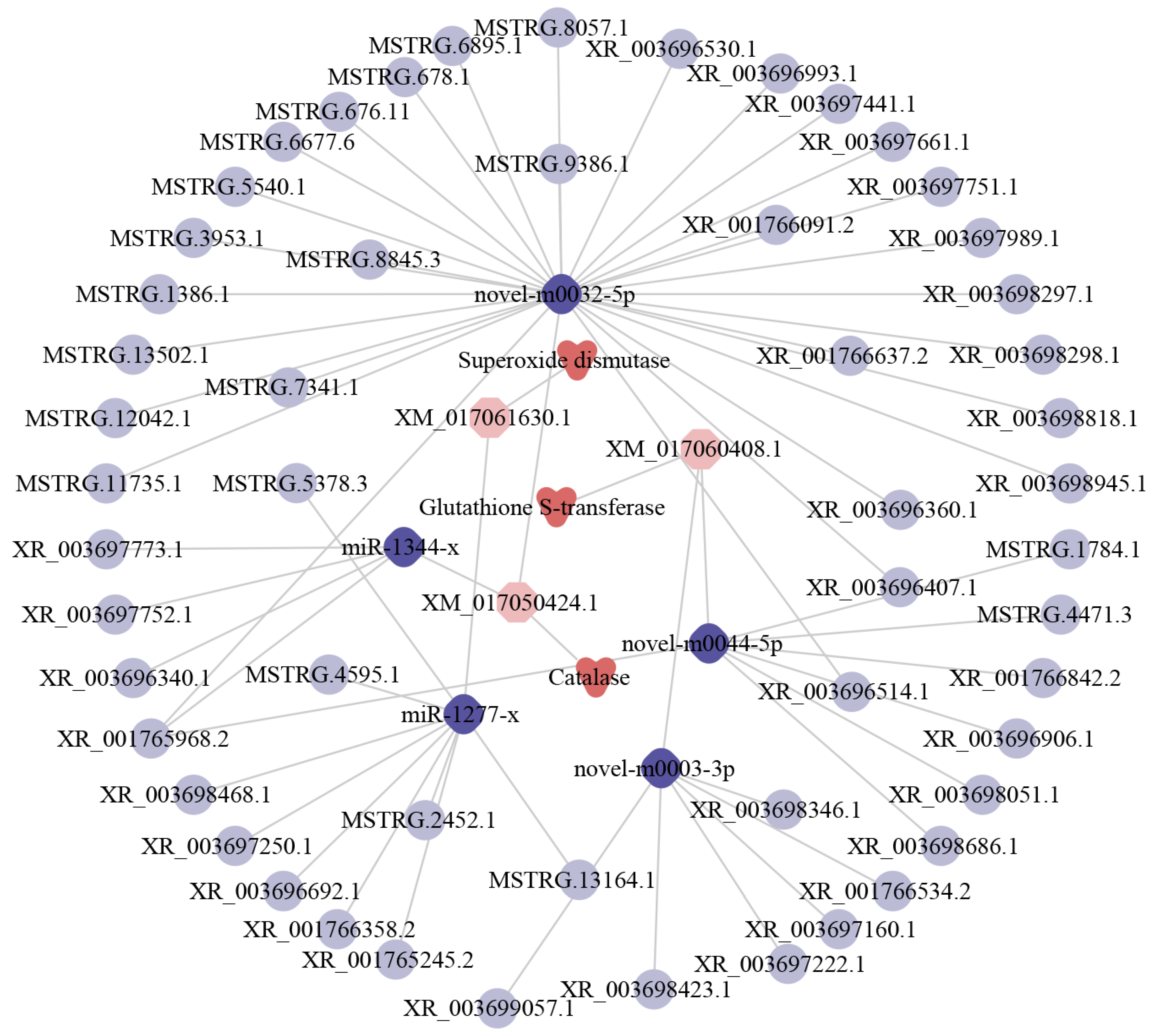 Ijms 24 14175 g006 Ijms 24 14175 g006