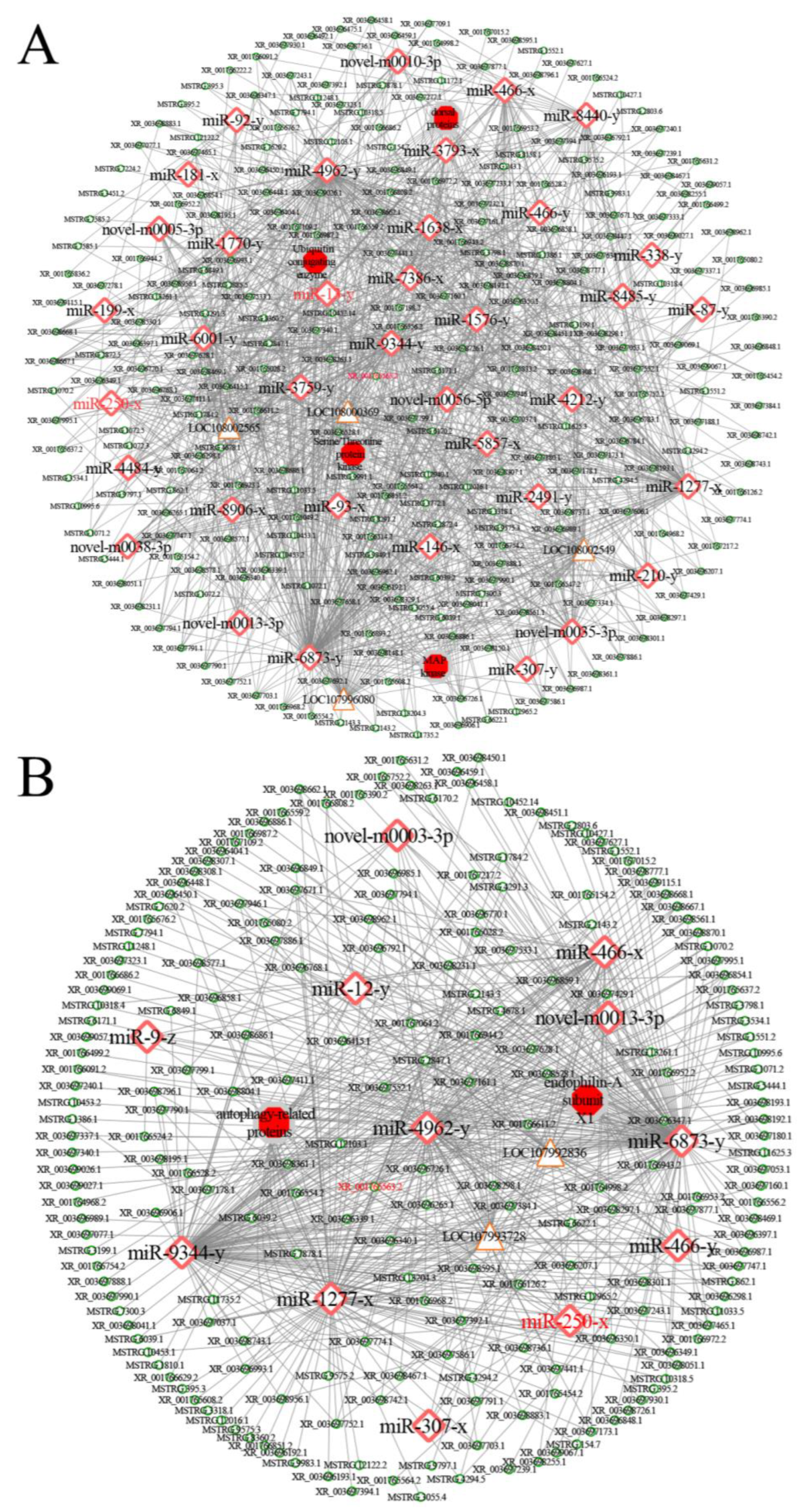 Ijms 24 14175 g007 Ijms 24 14175 g007