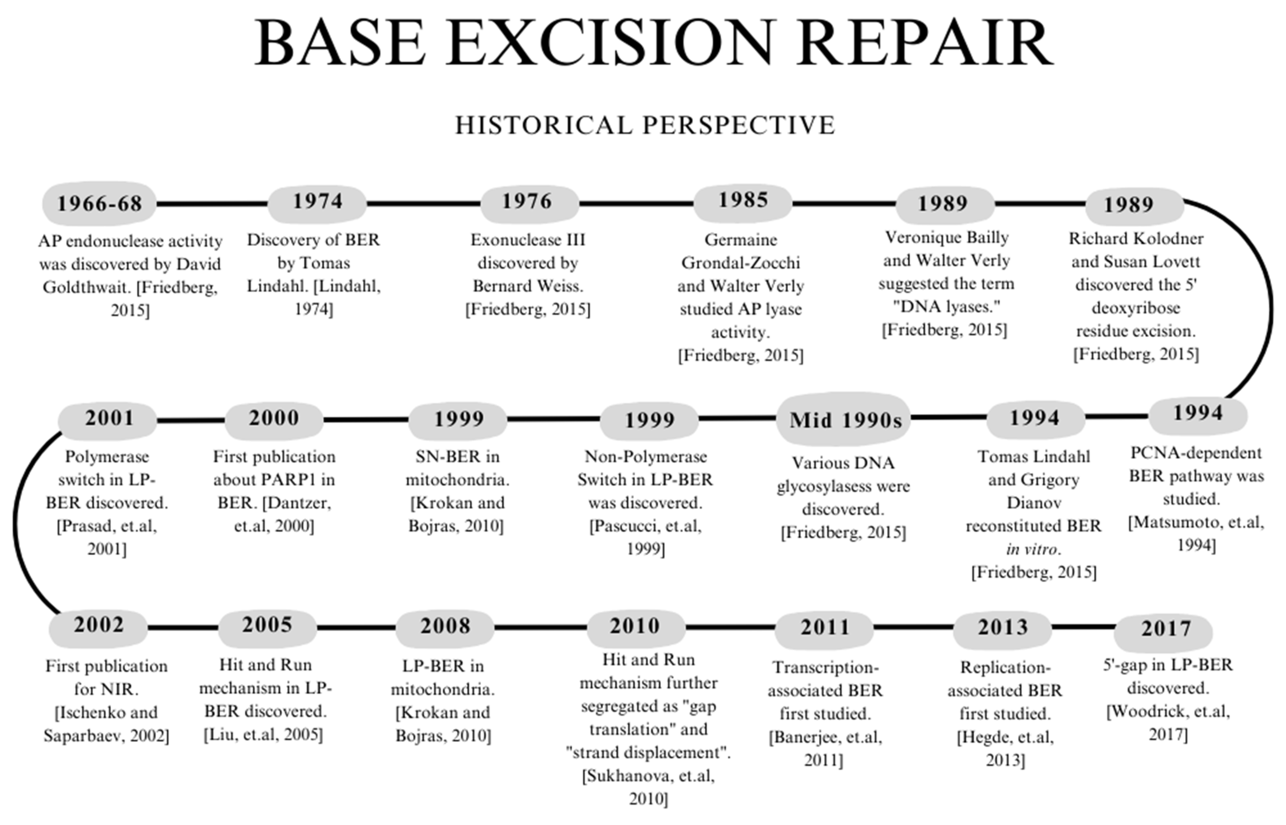 Ijms 24 14186 g001 Ijms 24 14186 g001