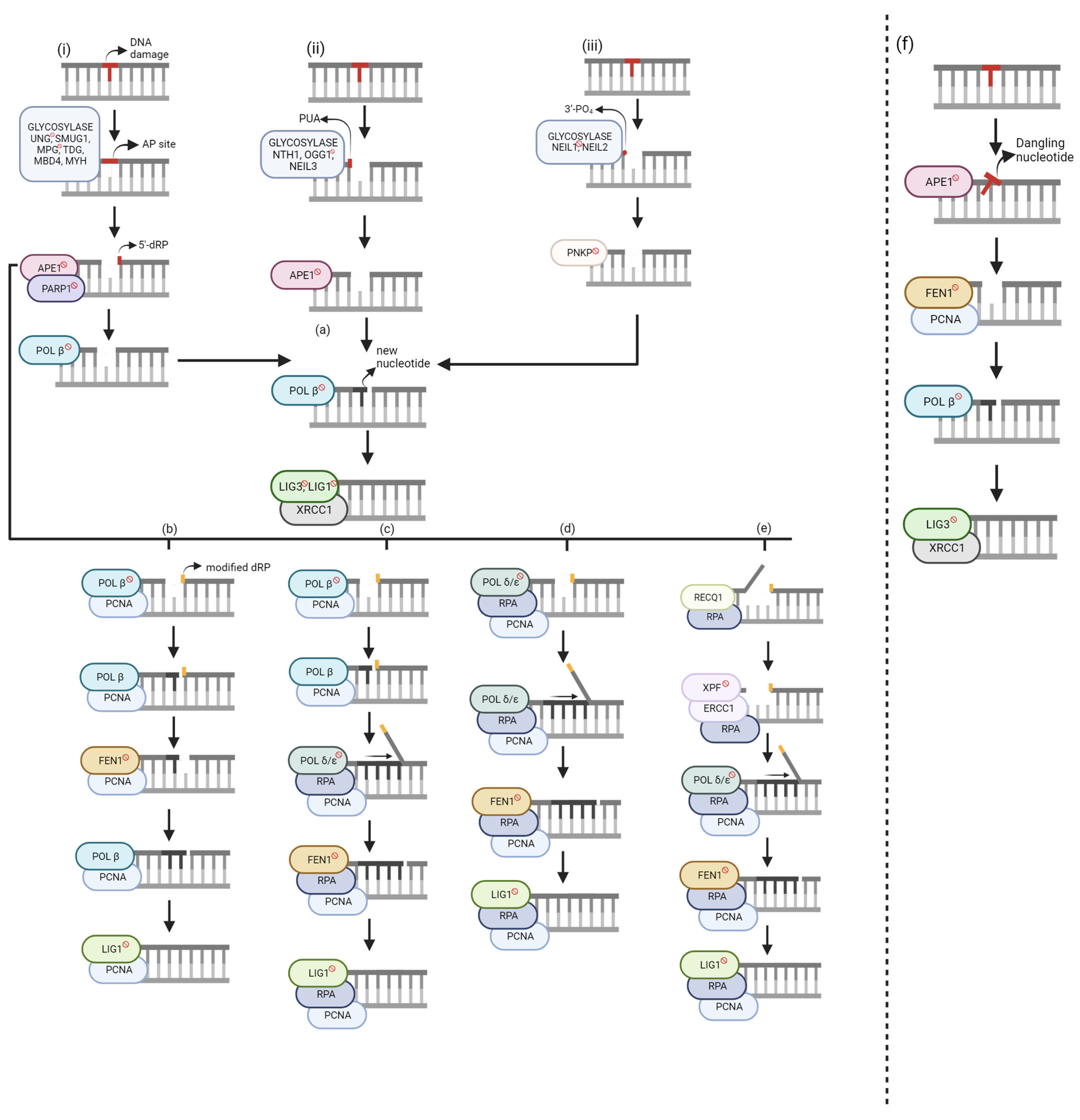 Ijms 24 14186 g002 Ijms 24 14186 g002