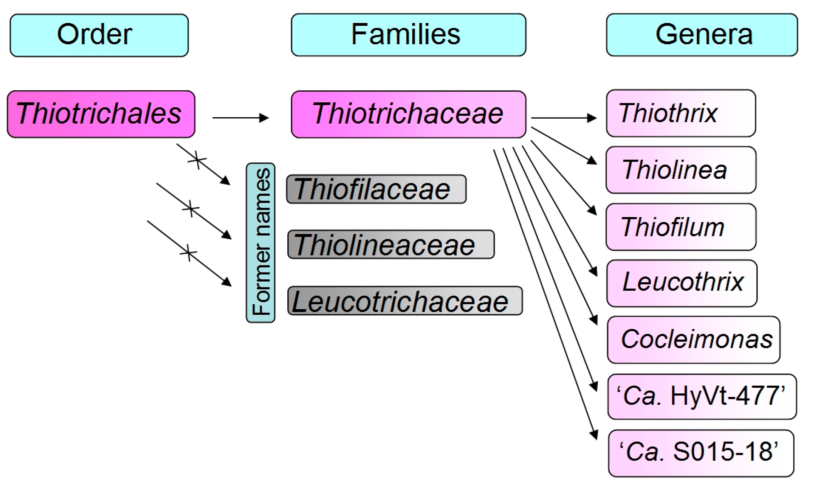 Ijms 24 14199 g001 Ijms 24 14199 g001