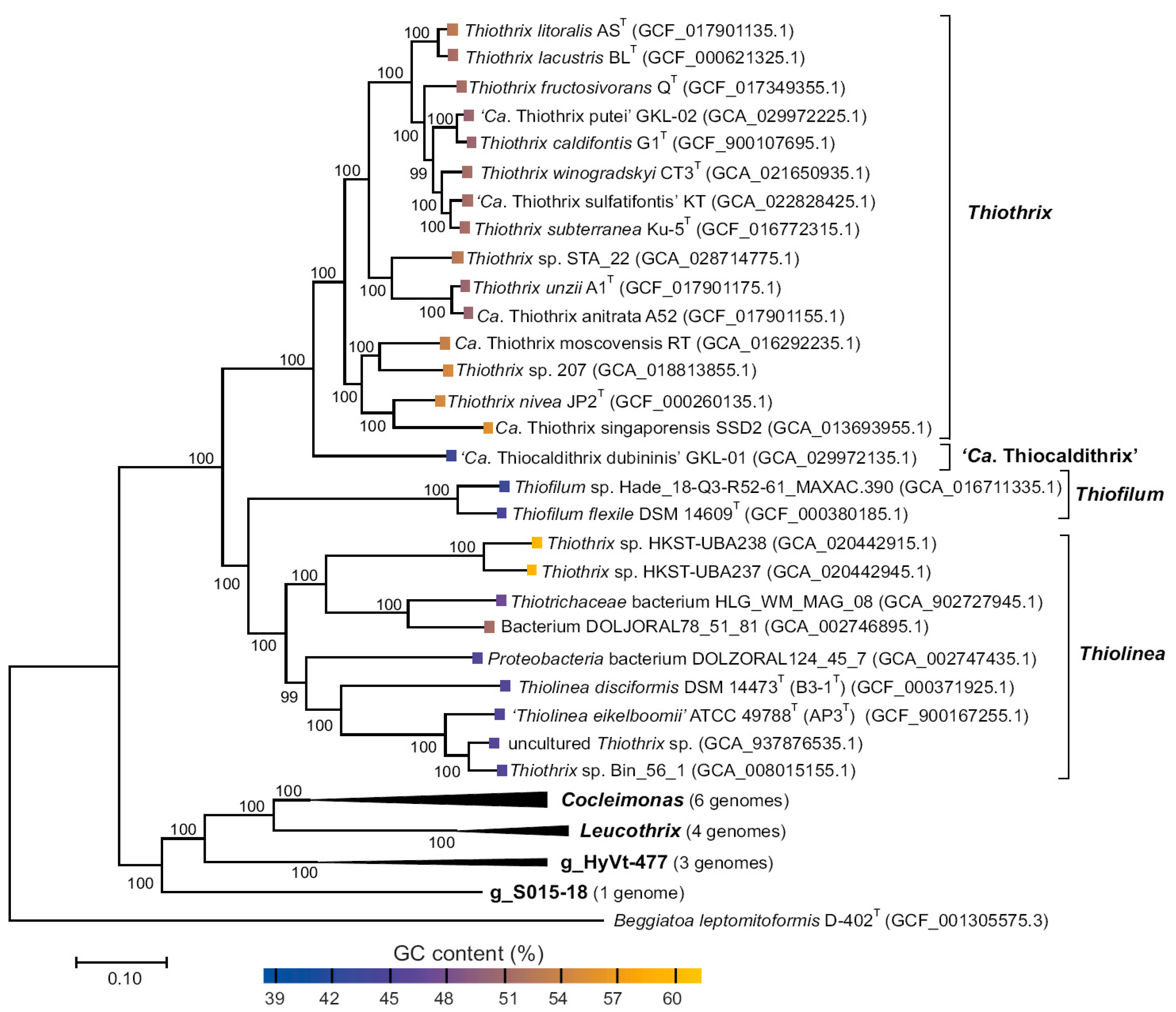 Ijms 24 14199 g005 Ijms 24 14199 g005