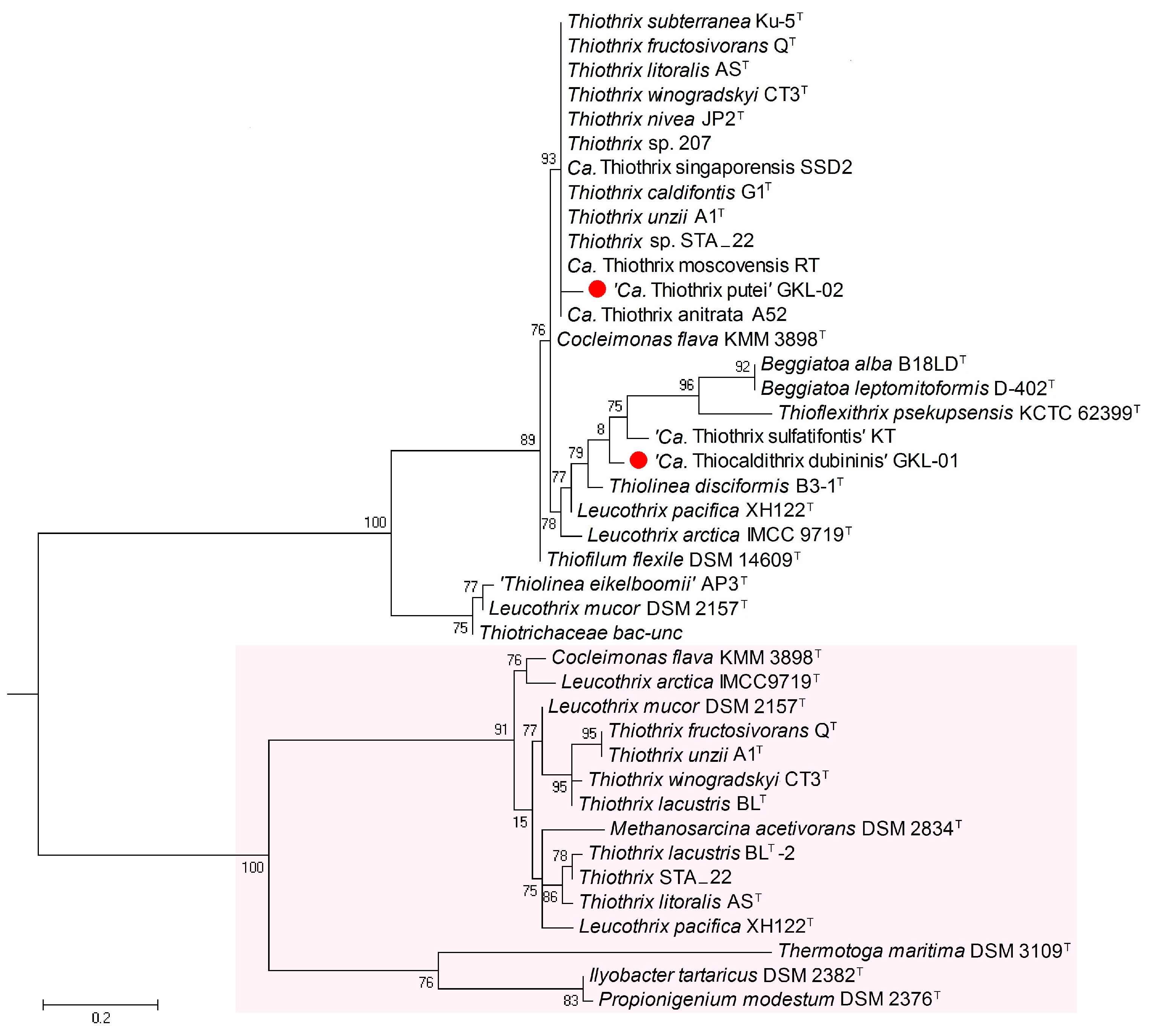 Ijms 24 14199 g006 Ijms 24 14199 g006