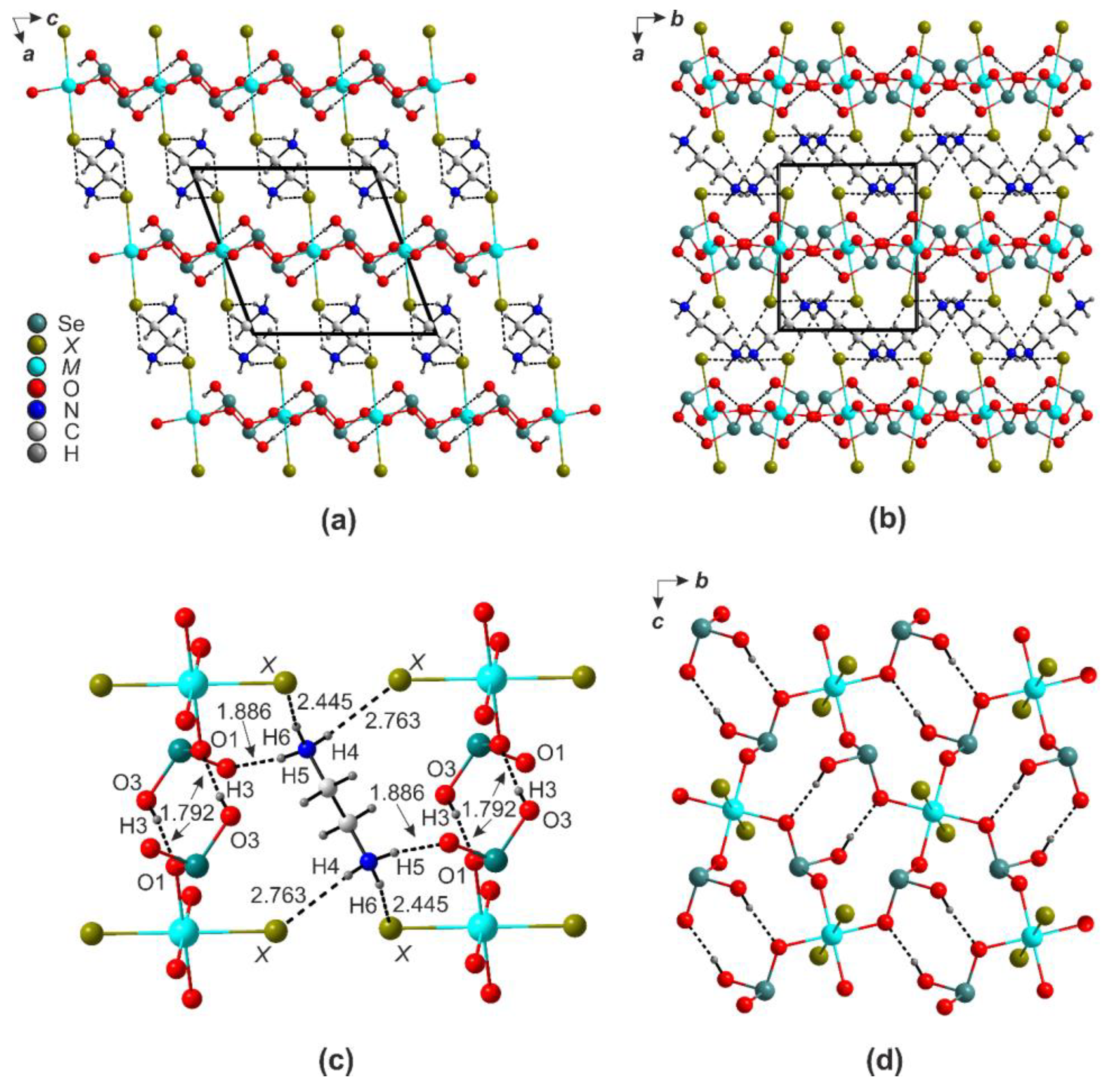 Ijms 24 14202 g003 Ijms 24 14202 g003