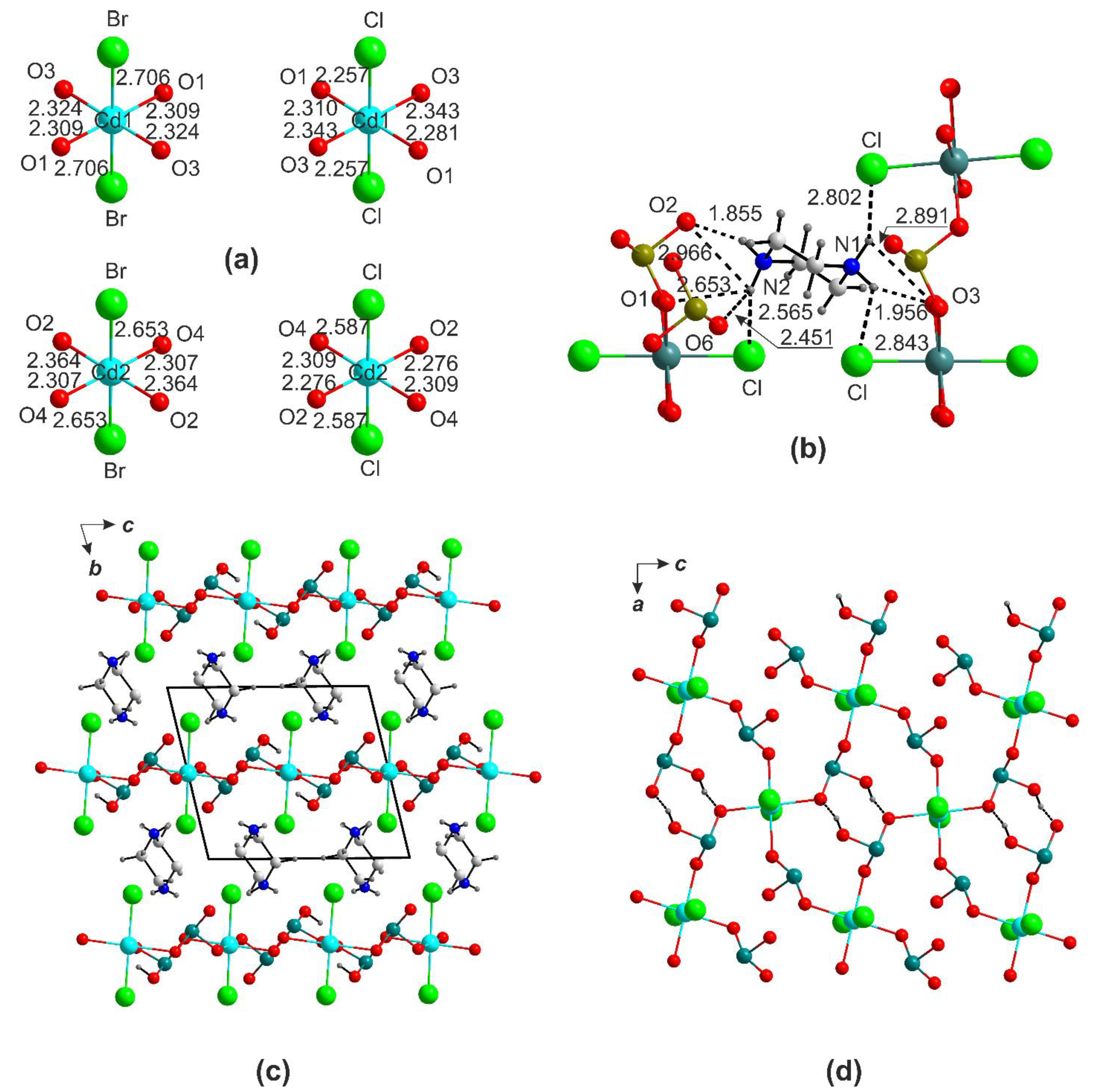 Ijms 24 14202 g004 Ijms 24 14202 g004