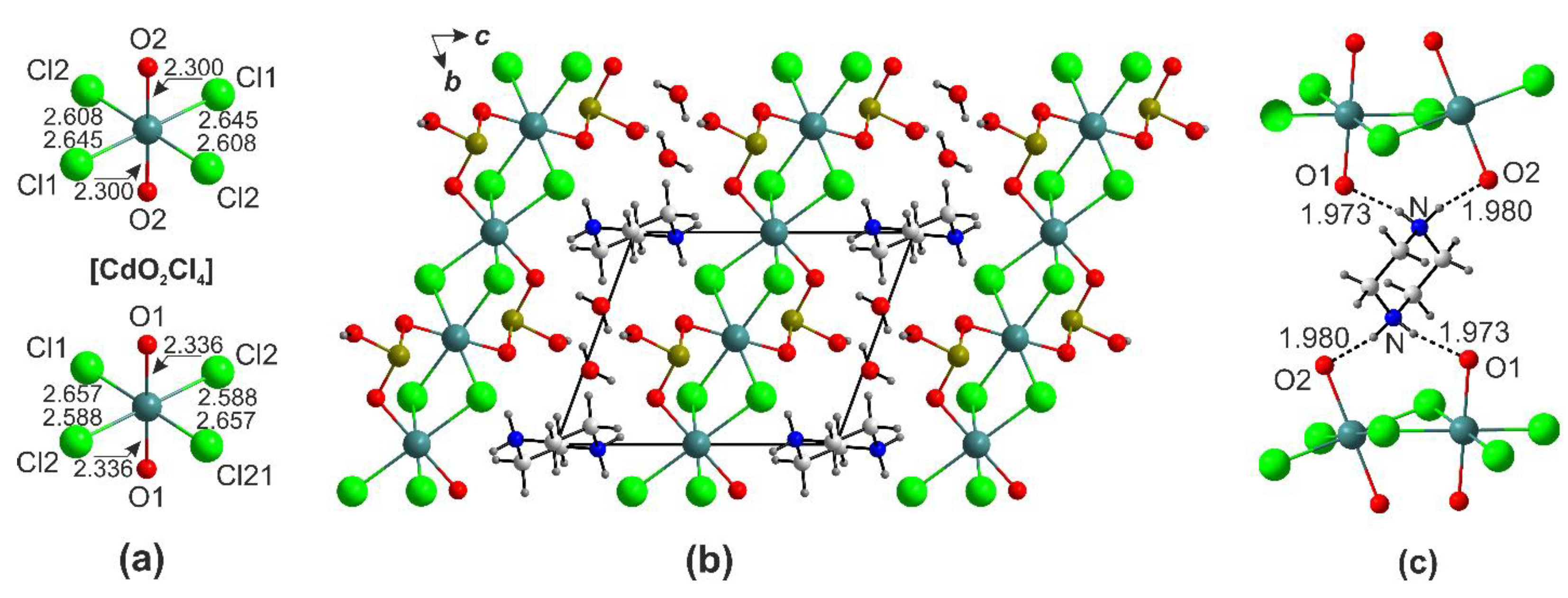 Ijms 24 14202 g005 Ijms 24 14202 g005