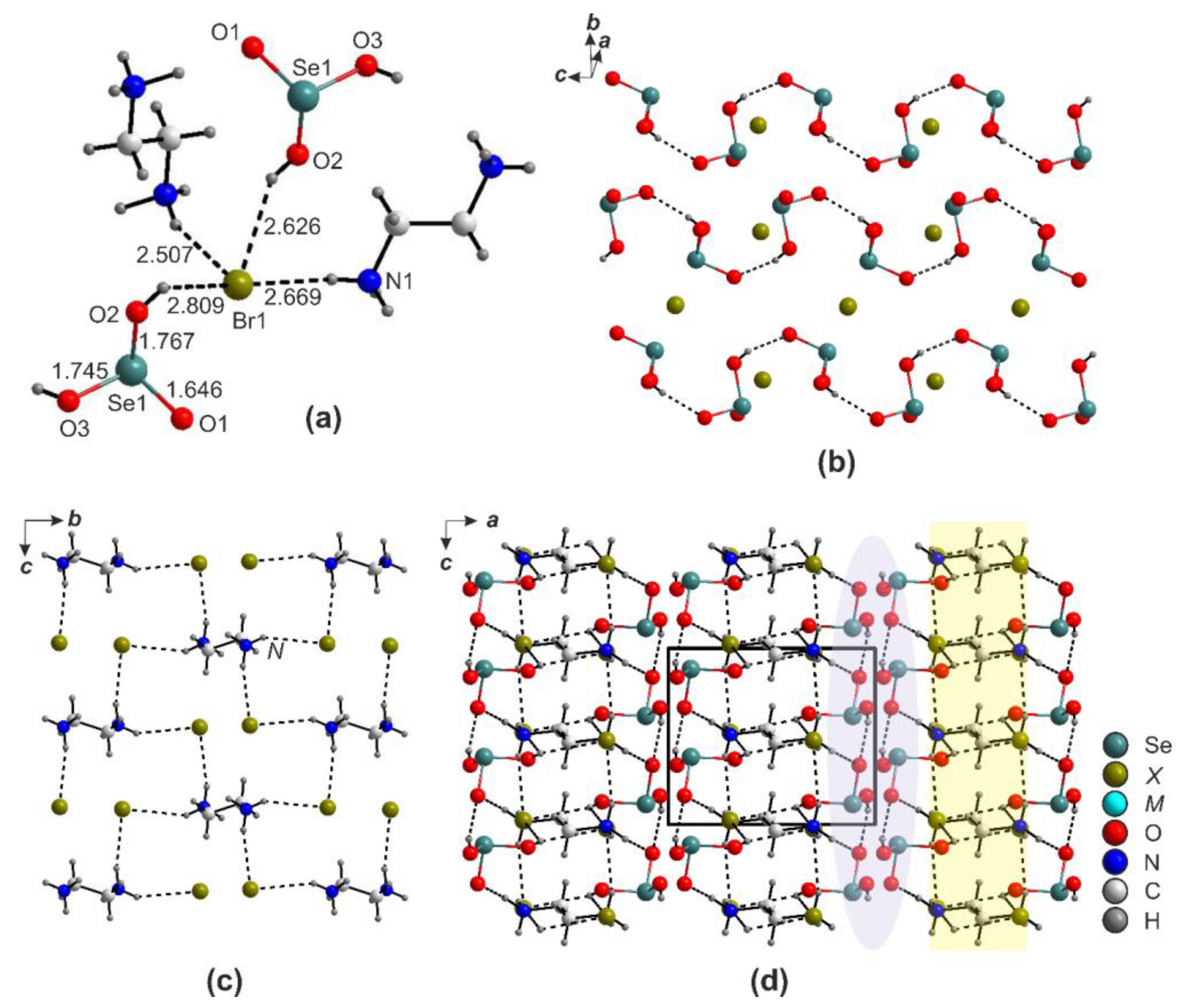 Ijms 24 14202 g008 Ijms 24 14202 g008