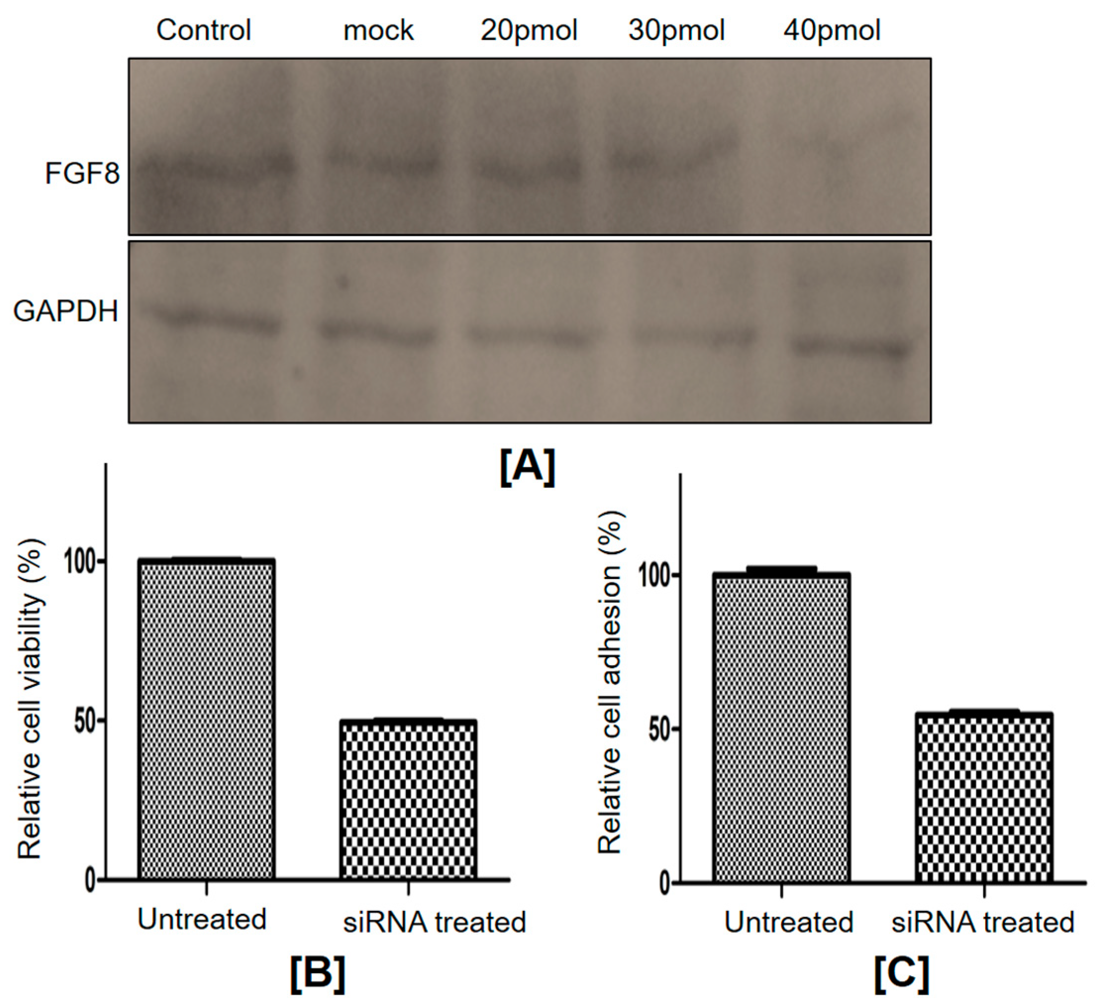 Ijms 24 14239 g004 Ijms 24 14239 g004