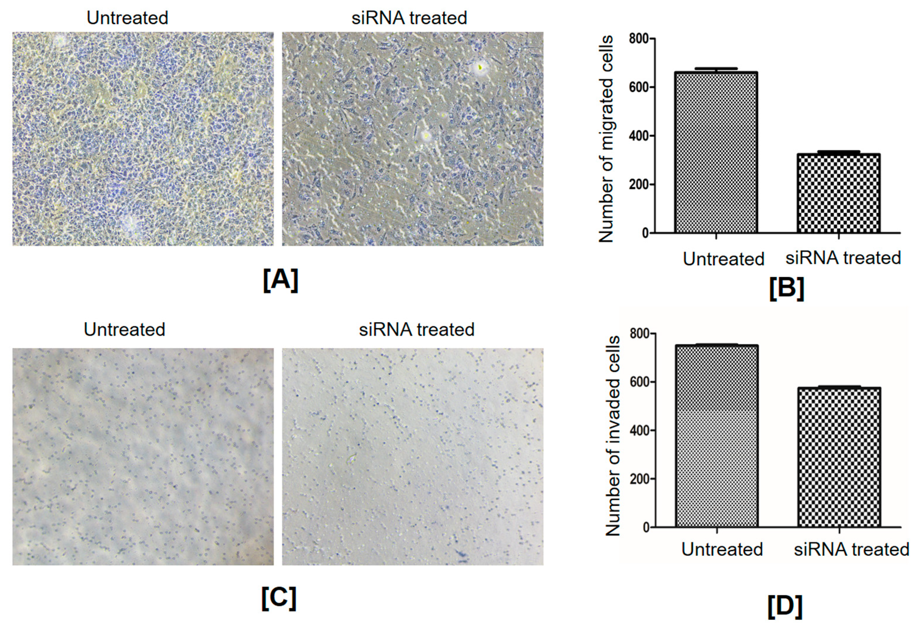 Ijms 24 14239 g006 Ijms 24 14239 g006