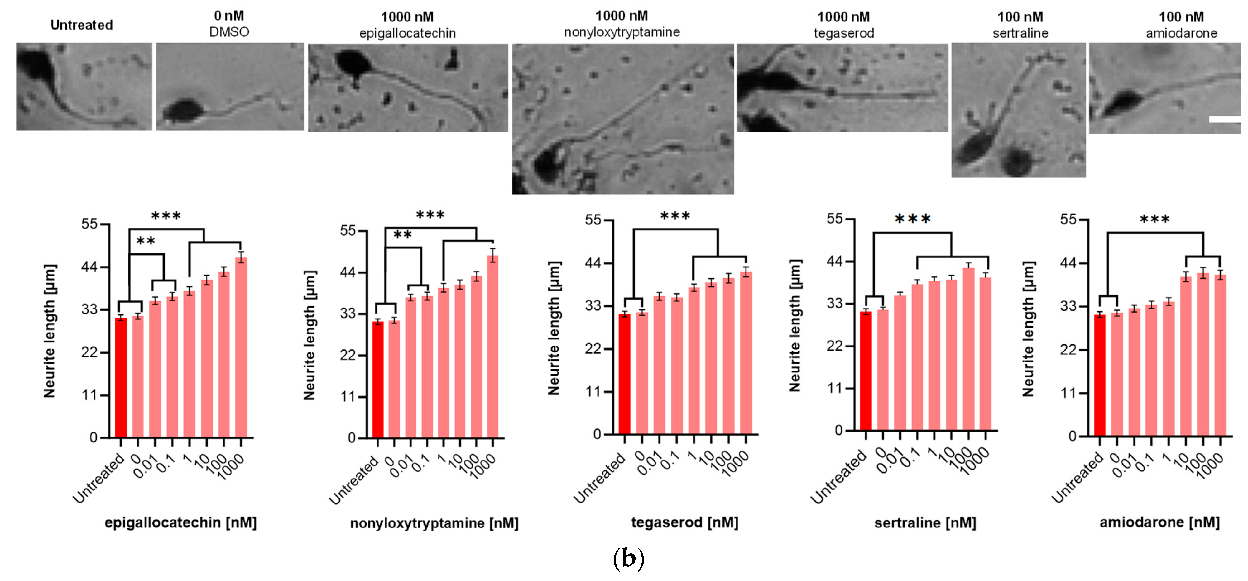 Ijms 24 14271 g004b Ijms 24 14271 g004b