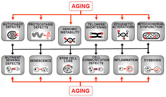 Distinct genomic routes underlie transitions to specialised