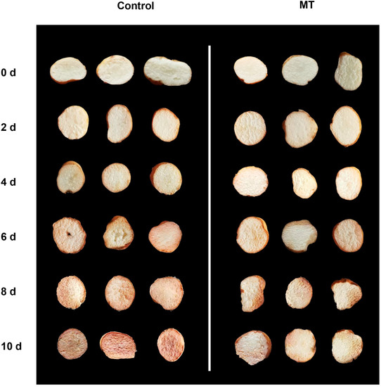 ジャパ Single-Crystal Materials Regenerated and Modified by Spent