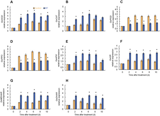 Melatonin Treatment Maintains the Quality of Fresh-Cut