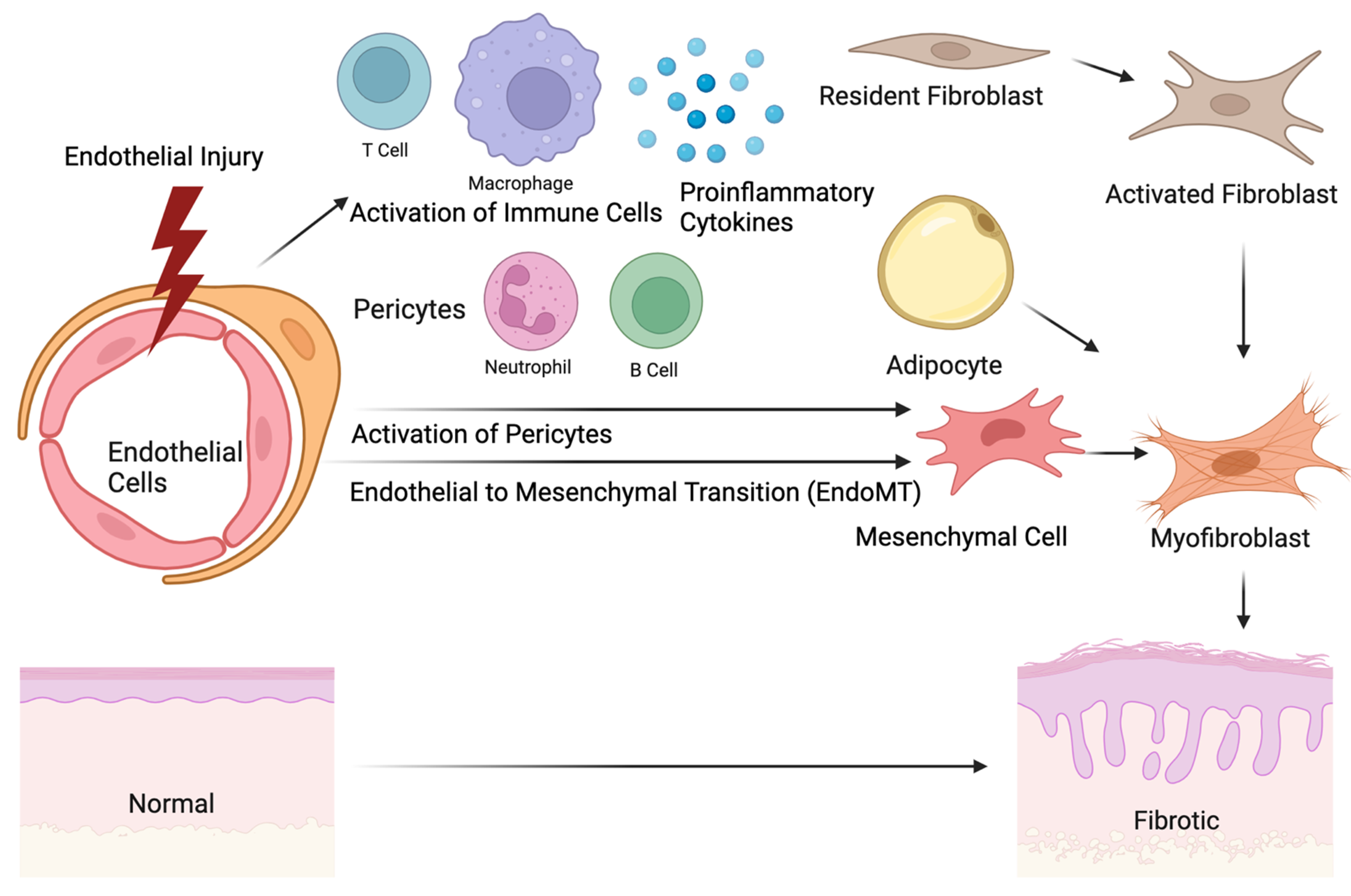 Ijms 24 14287 g001 Ijms 24 14287 g001