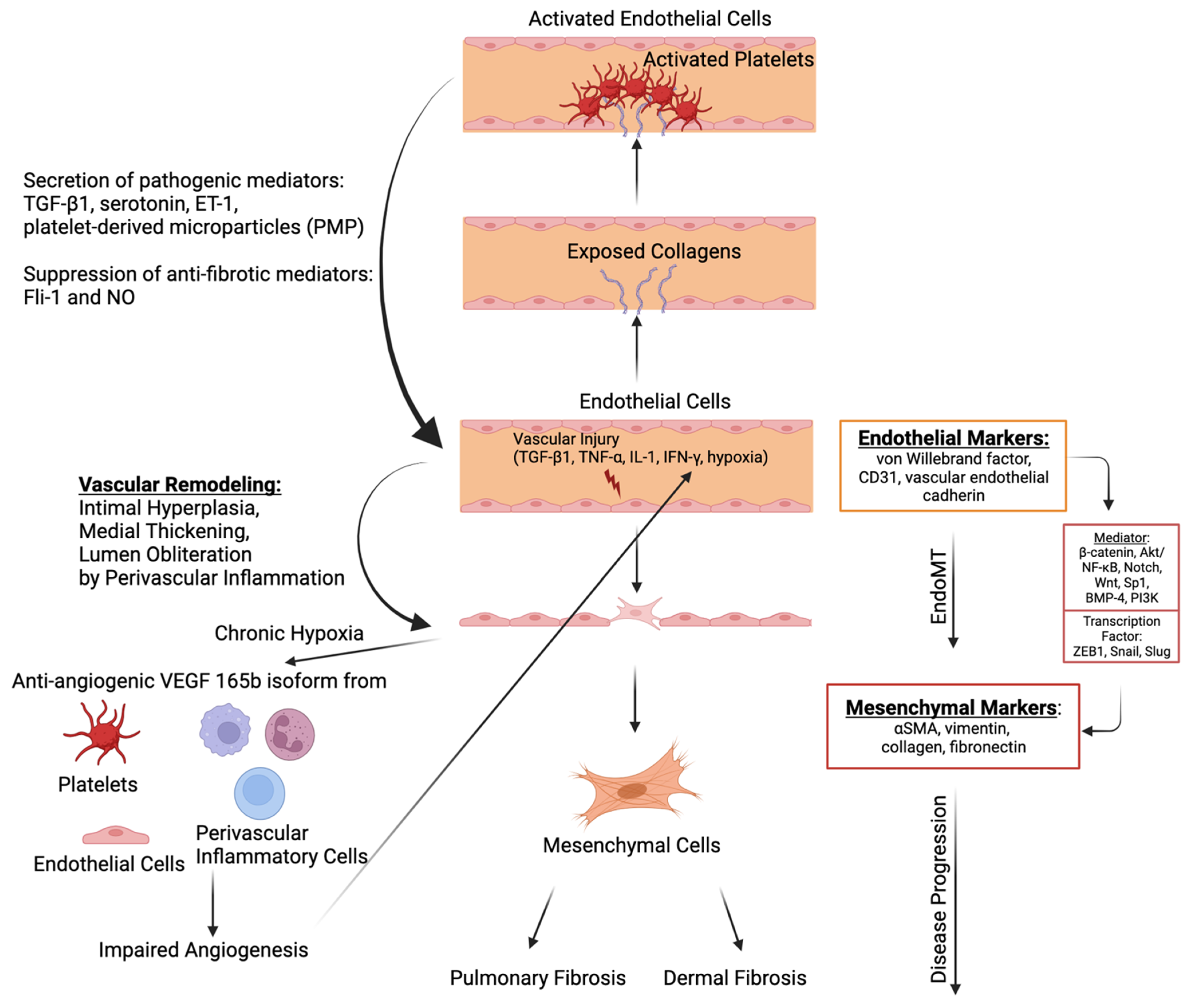 Ijms 24 14287 g002 Ijms 24 14287 g002