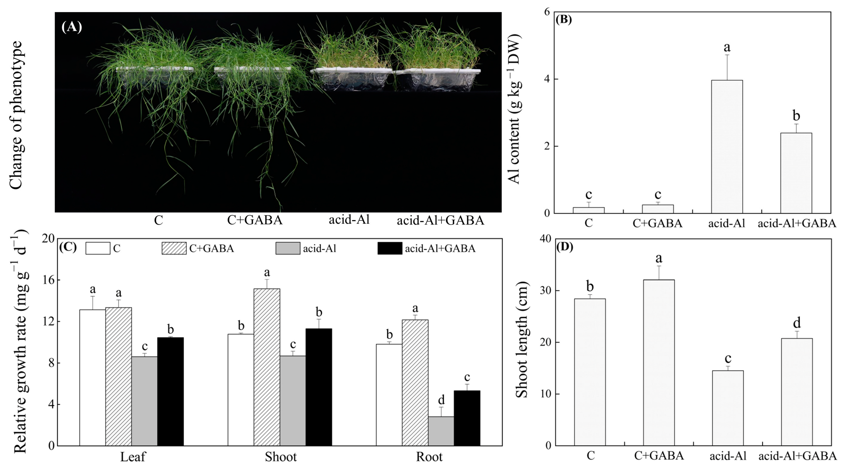 Ijms 24 14309 g001 Ijms 24 14309 g001