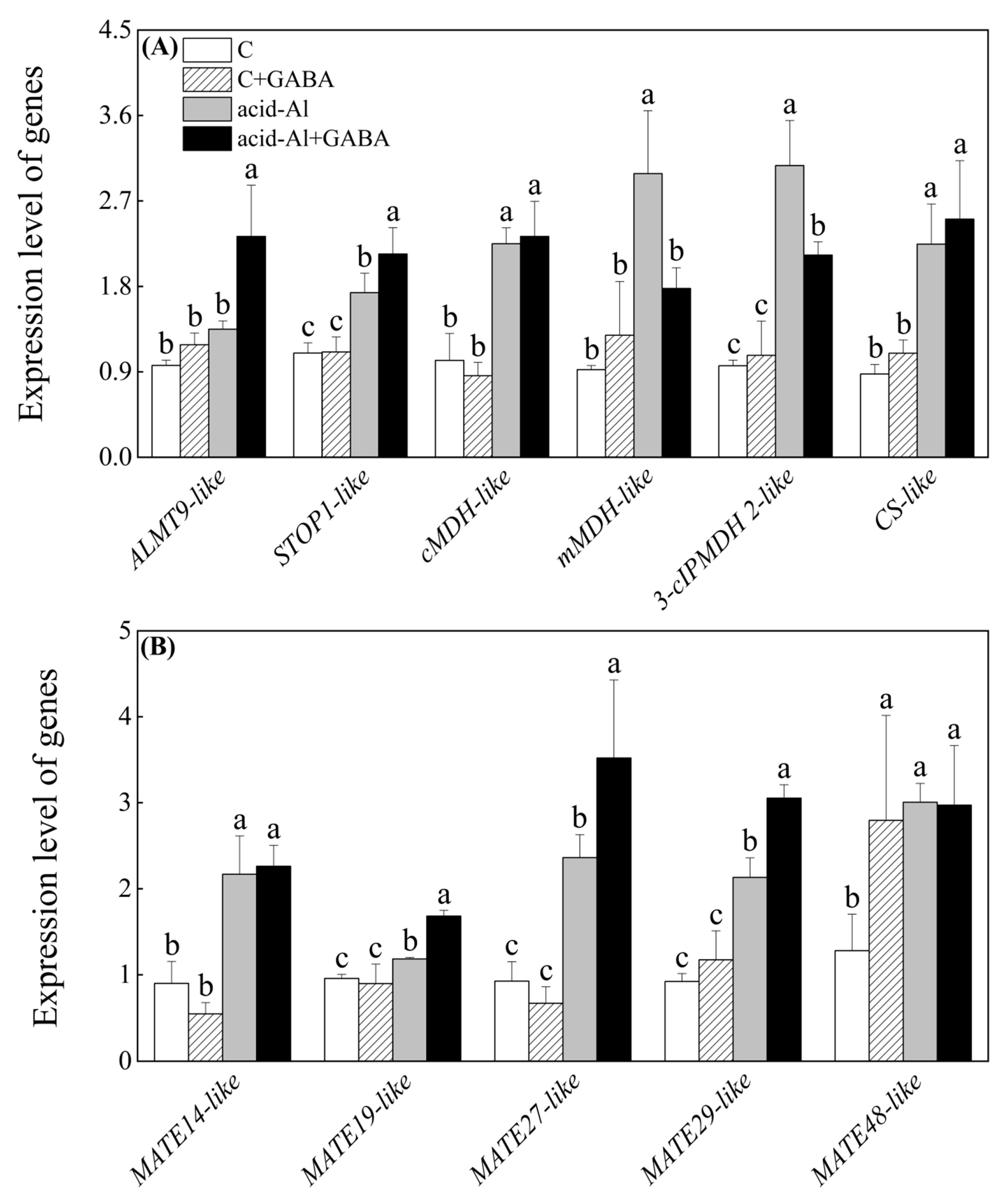 Ijms 24 14309 g007 Ijms 24 14309 g007