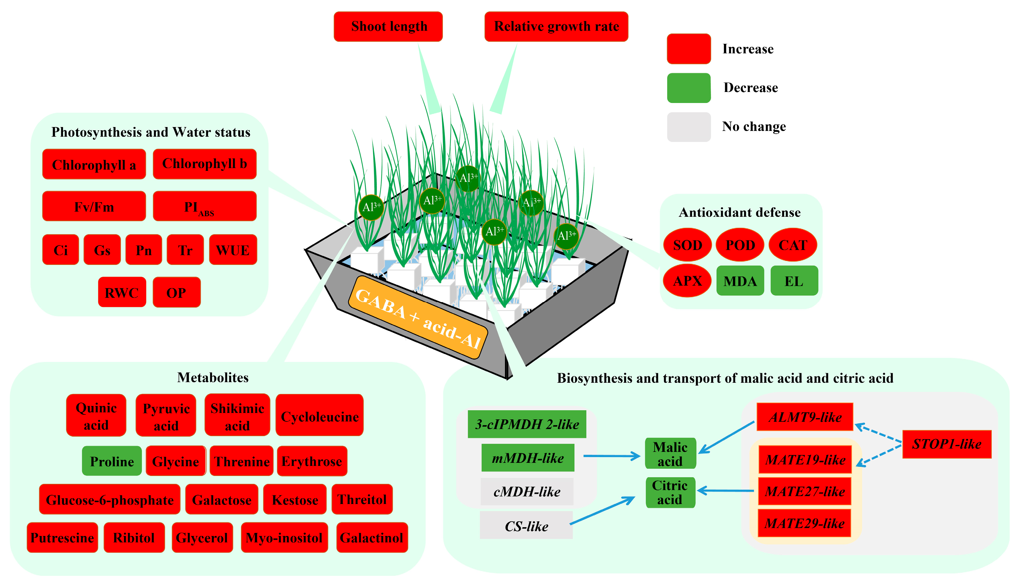 Ijms 24 14309 g008 Ijms 24 14309 g008