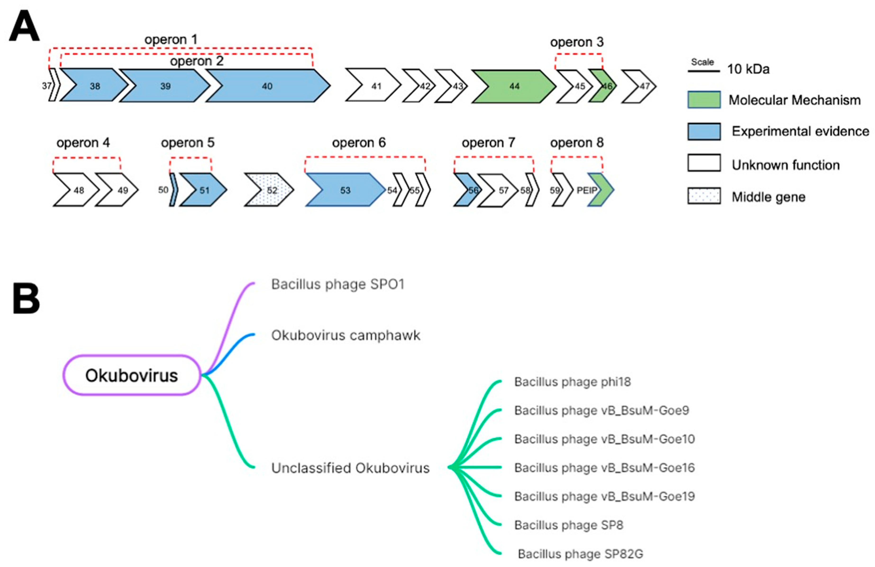 Ijms 24 14318 g001 Ijms 24 14318 g001