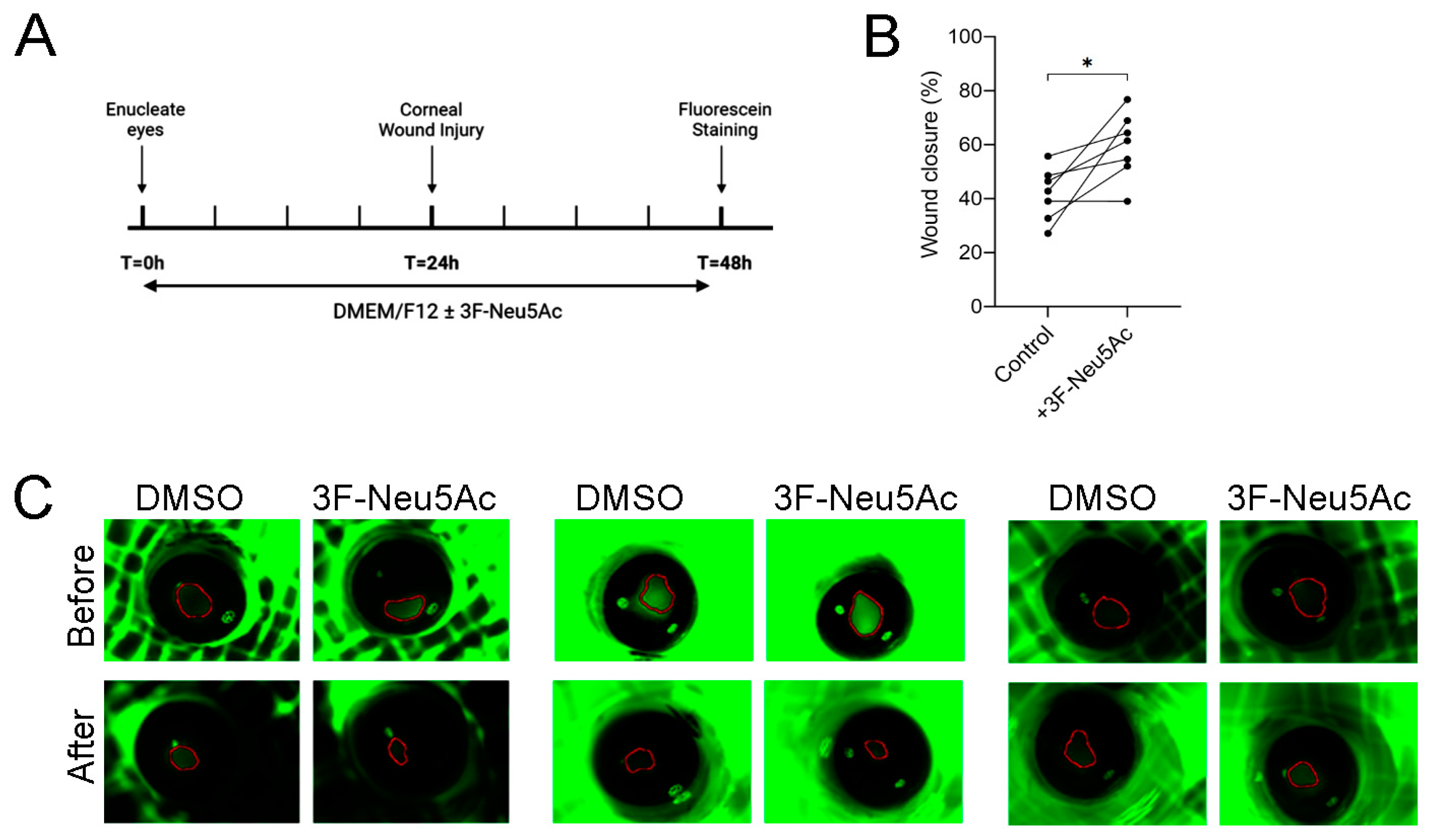 Ijms 24 14327 g005 Ijms 24 14327 g005
